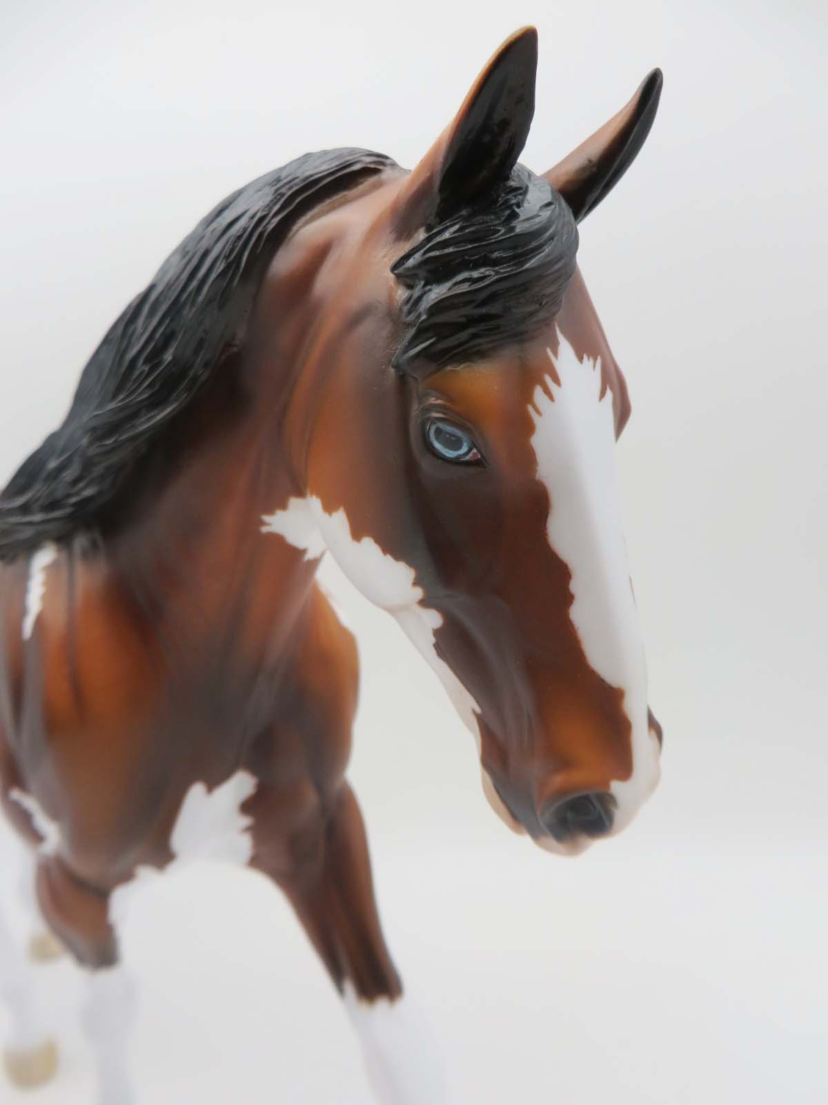 Lautrec - OOAK - Bay Splash Irish Draft By Dawn Quick - Best Offers 4/24/23