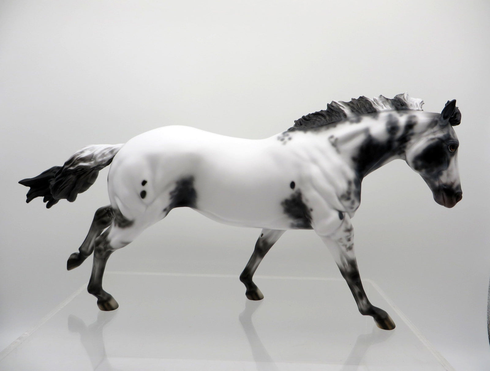 Lavoch-OOAK Appaloosa Running Stock Horse By Dawn Quick 3/22