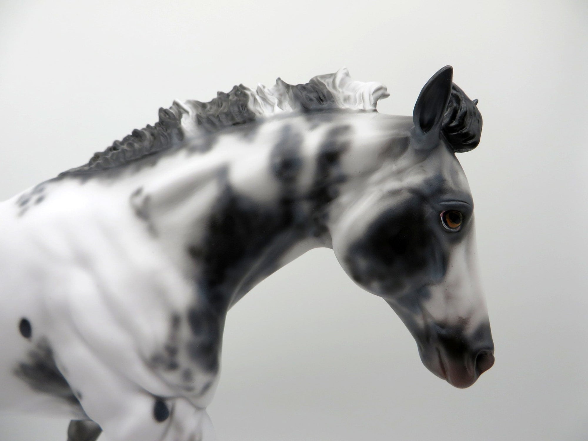 Lavoch-OOAK Appaloosa Running Stock Horse By Dawn Quick 3/22