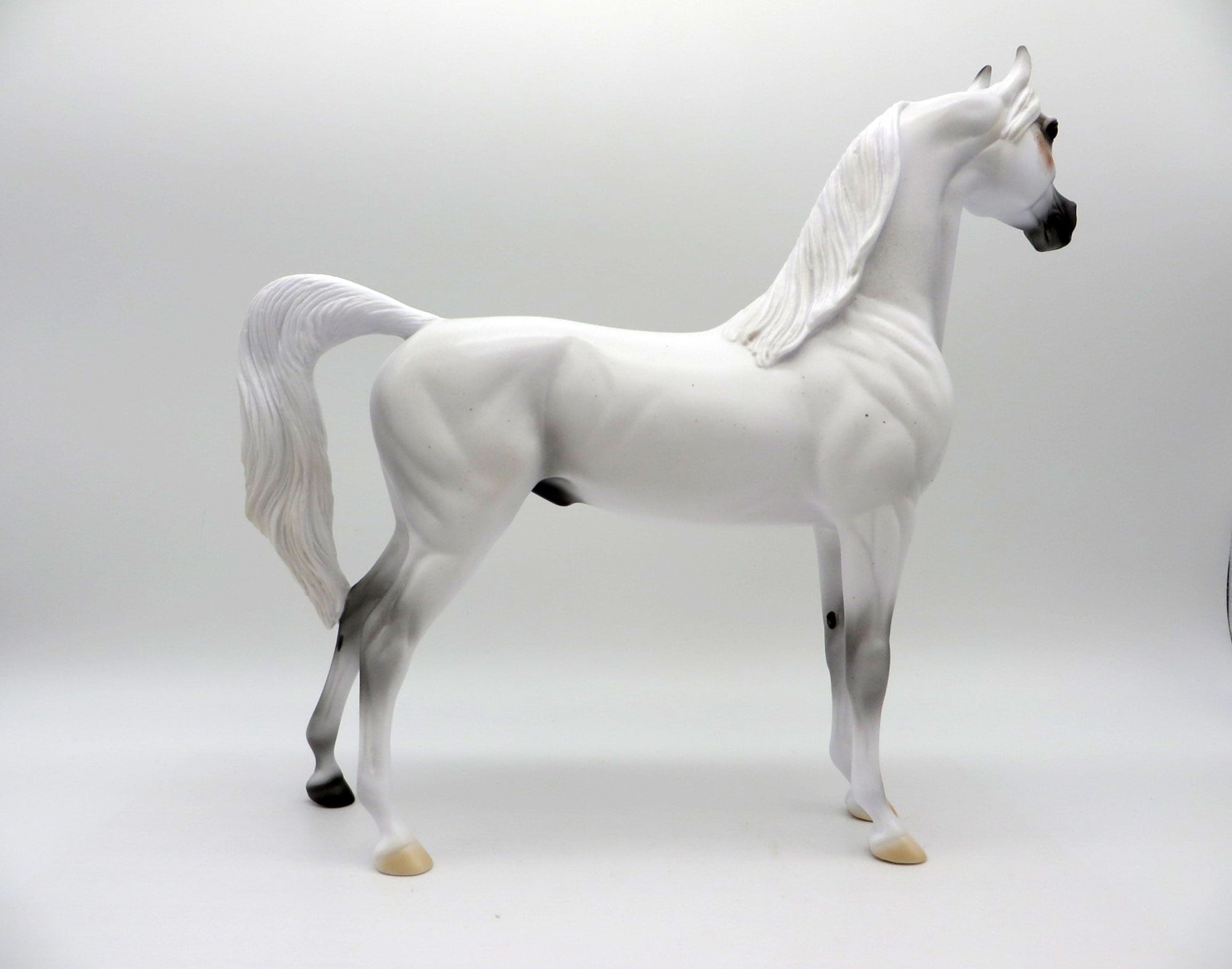 Legend LE-5 Bloody Shoulder Arabian Painted By Ellen Robbins  EQ 21