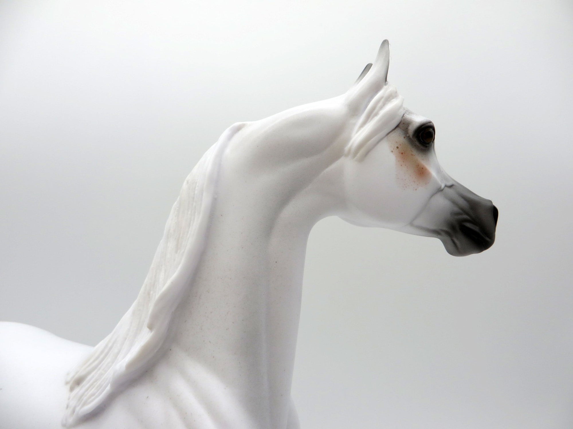 Legend LE-5 Bloody Shoulder Arabian Painted By Ellen Robbins  EQ 21