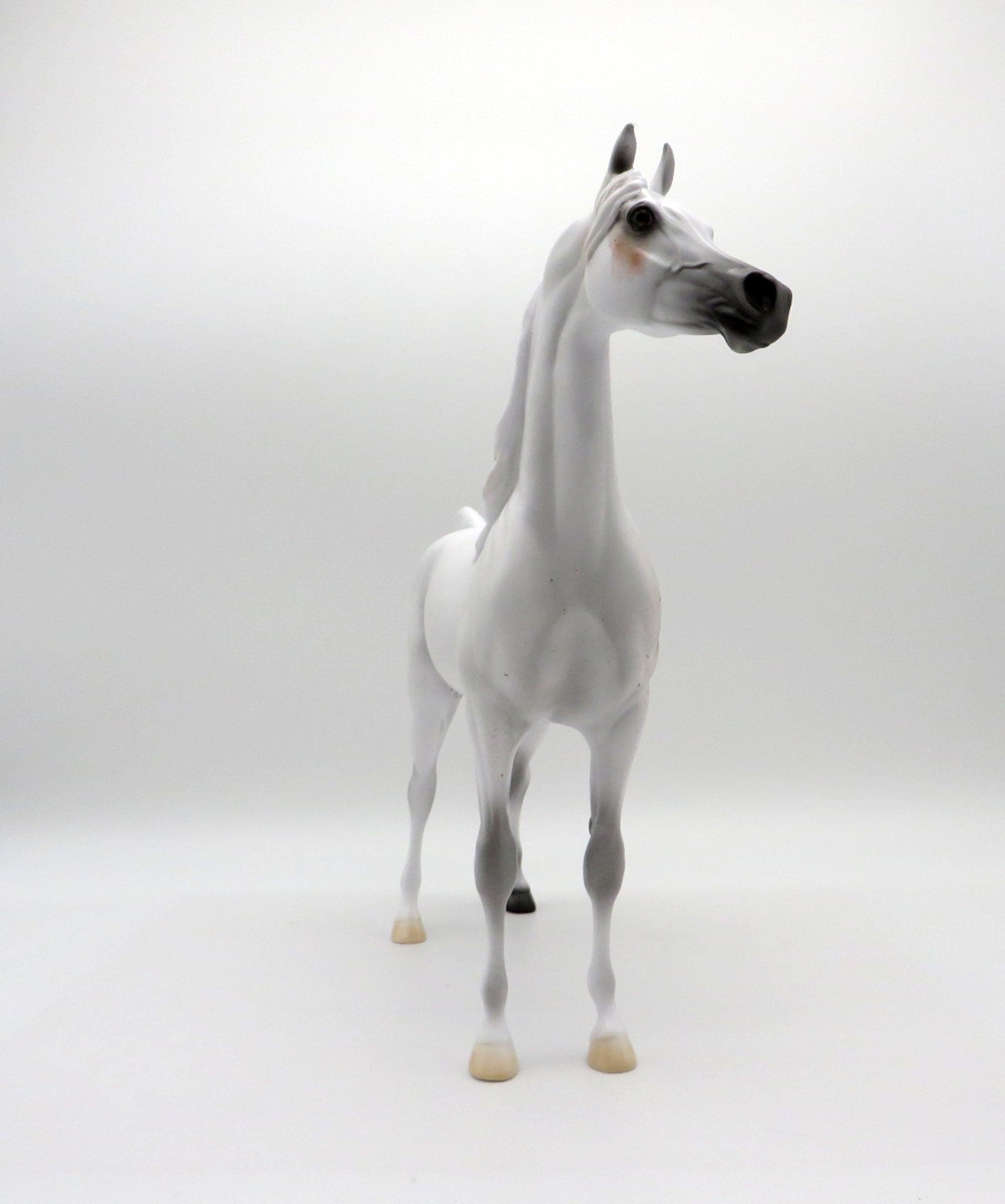 Legend LE-5 Bloody Shoulder Arabian Painted By Ellen Robbins  EQ 21