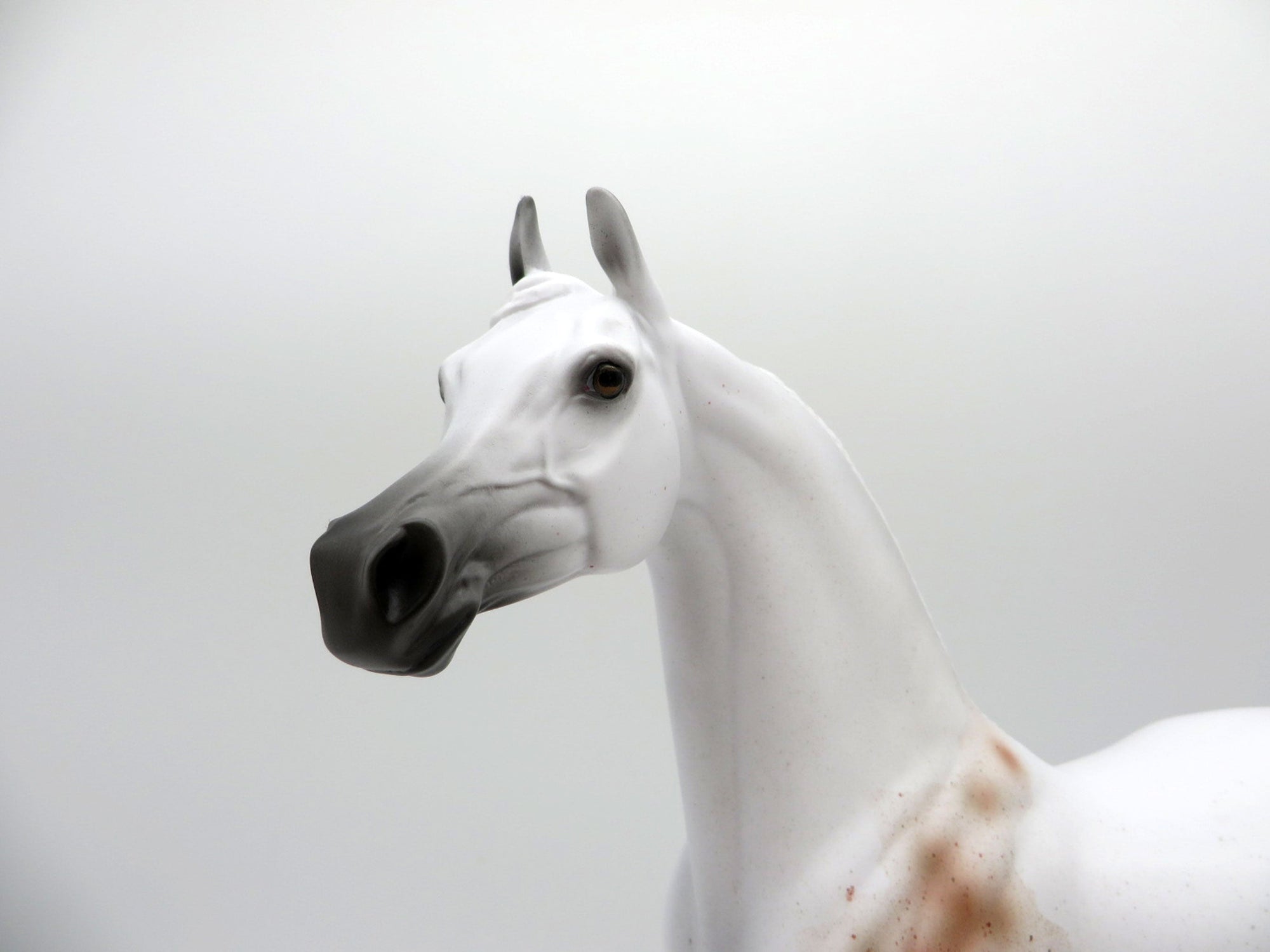 Legend LE-5 Bloody Shoulder Arabian Painted By Ellen Robbins  EQ 21