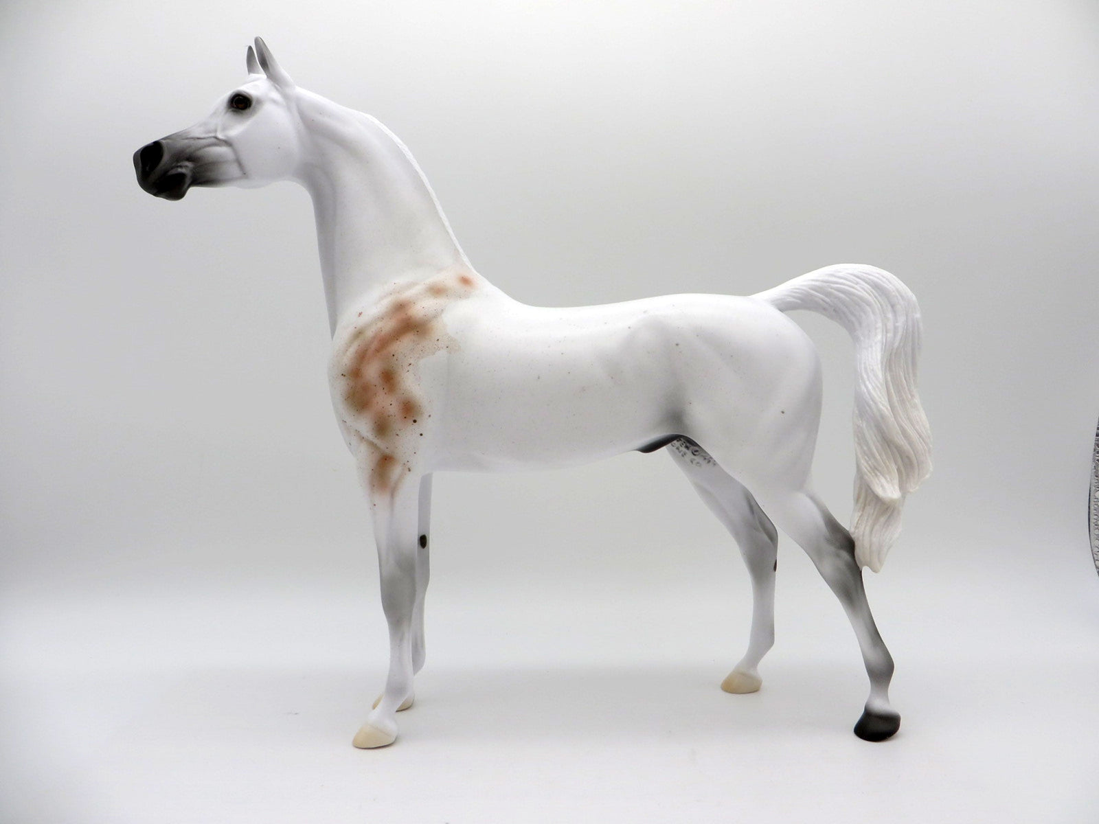 Legend LE-5 Bloody Shoulder Arabian Painted By Ellen Robbins  EQ 21