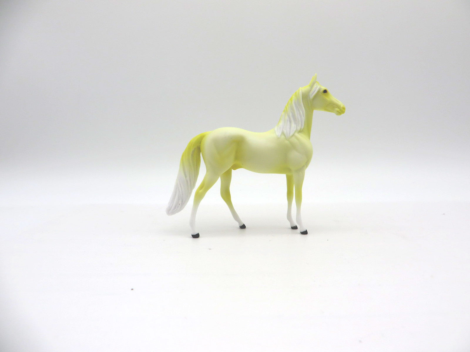 Lemon Ice-OOAK Morgan Chip Painted By Ellen Robbins  NICM-7/23/21