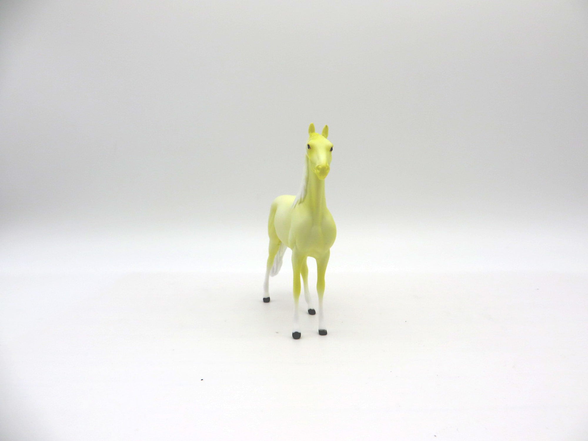 Lemon Ice-OOAK Morgan Chip Painted By Ellen Robbins  NICM-7/23/21