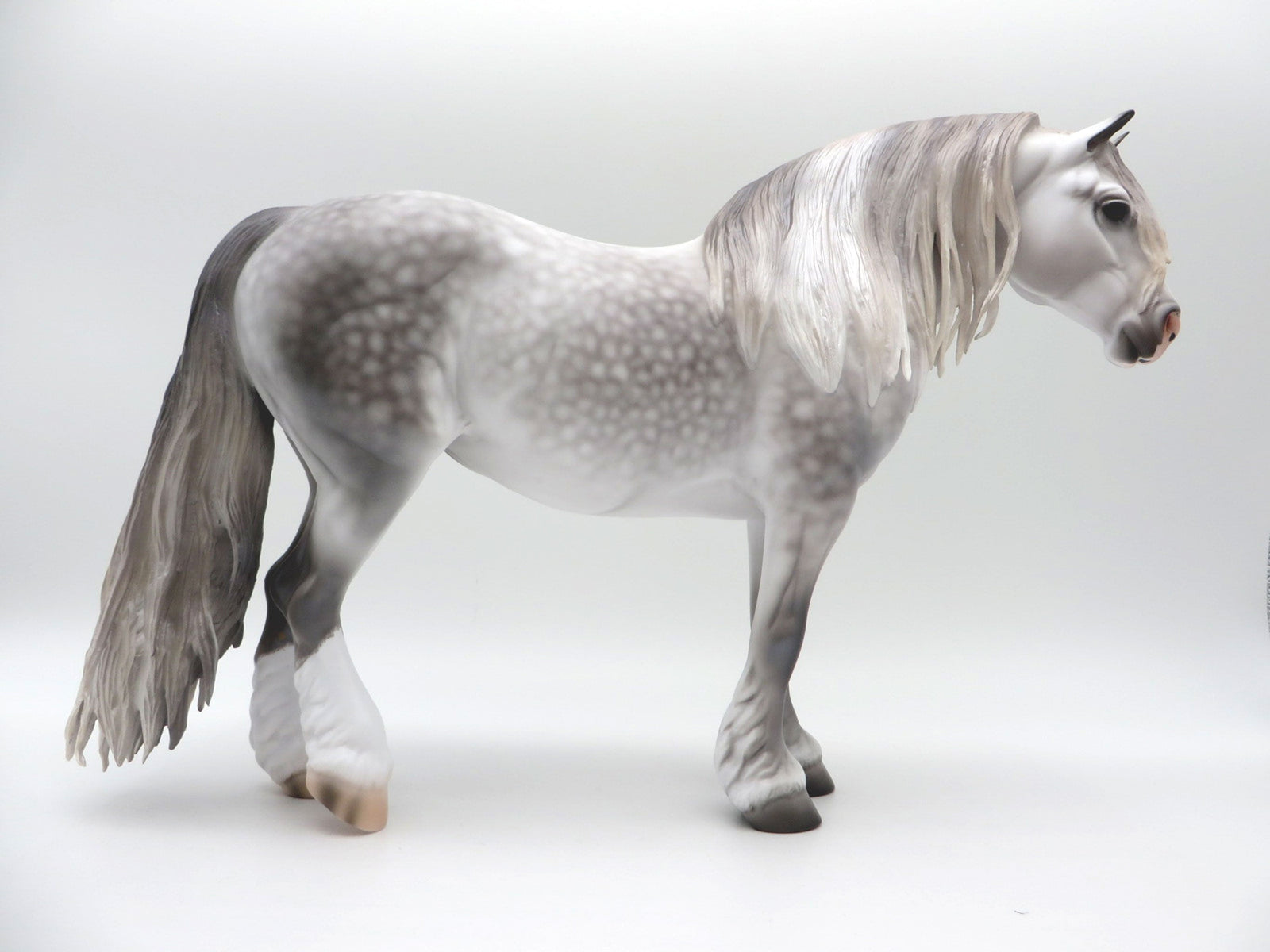 Lena-OOAK Dapple Grey Heavy Drafter 5/11/21