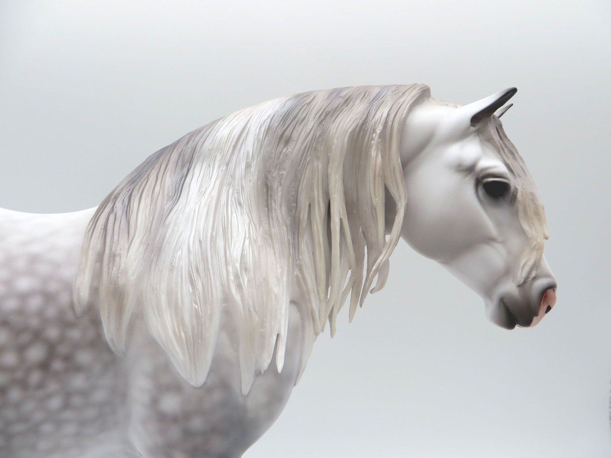 Lena-OOAK Dapple Grey Heavy Drafter 5/11/21