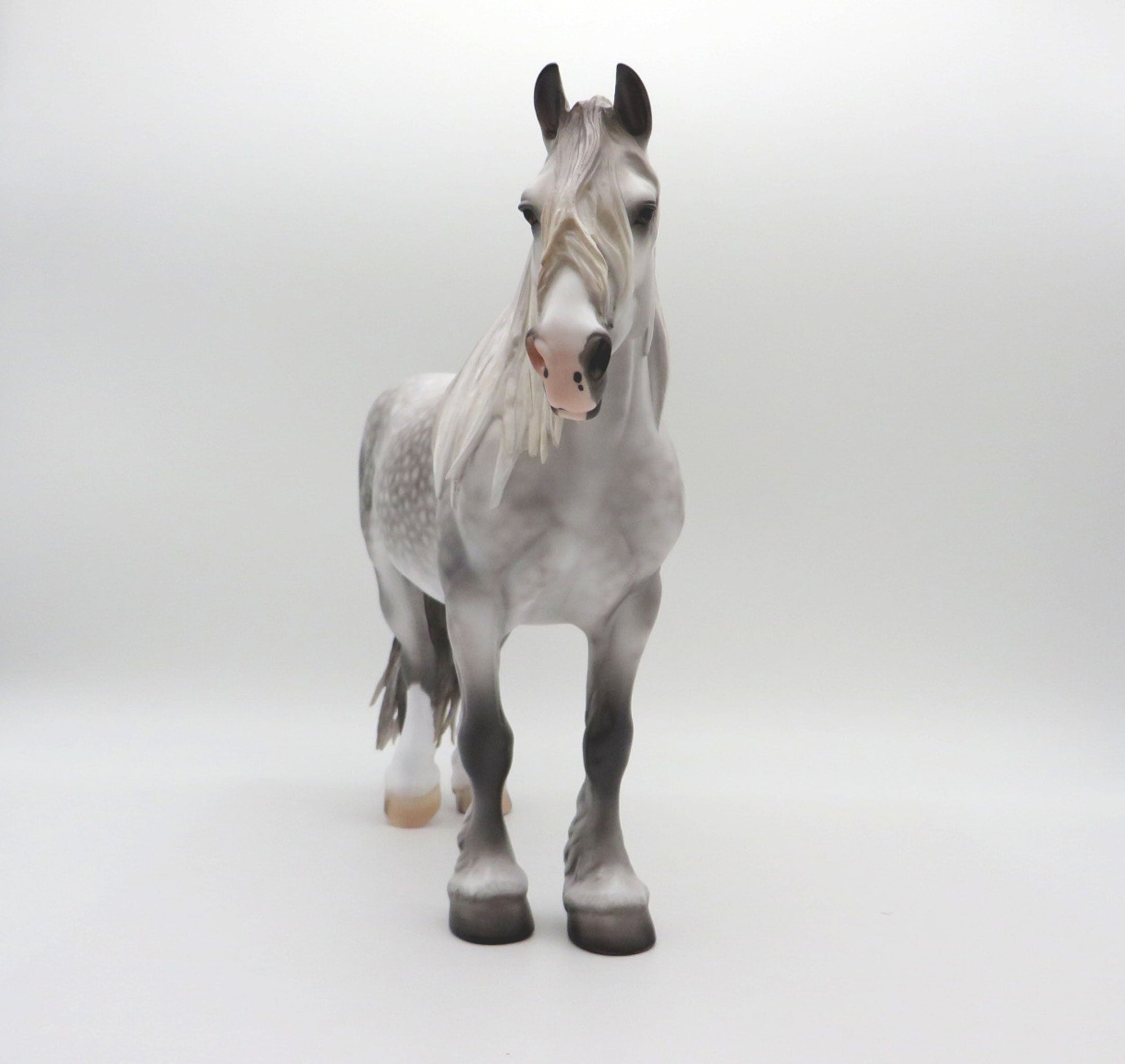 Lena-OOAK Dapple Grey Heavy Drafter 5/11/21