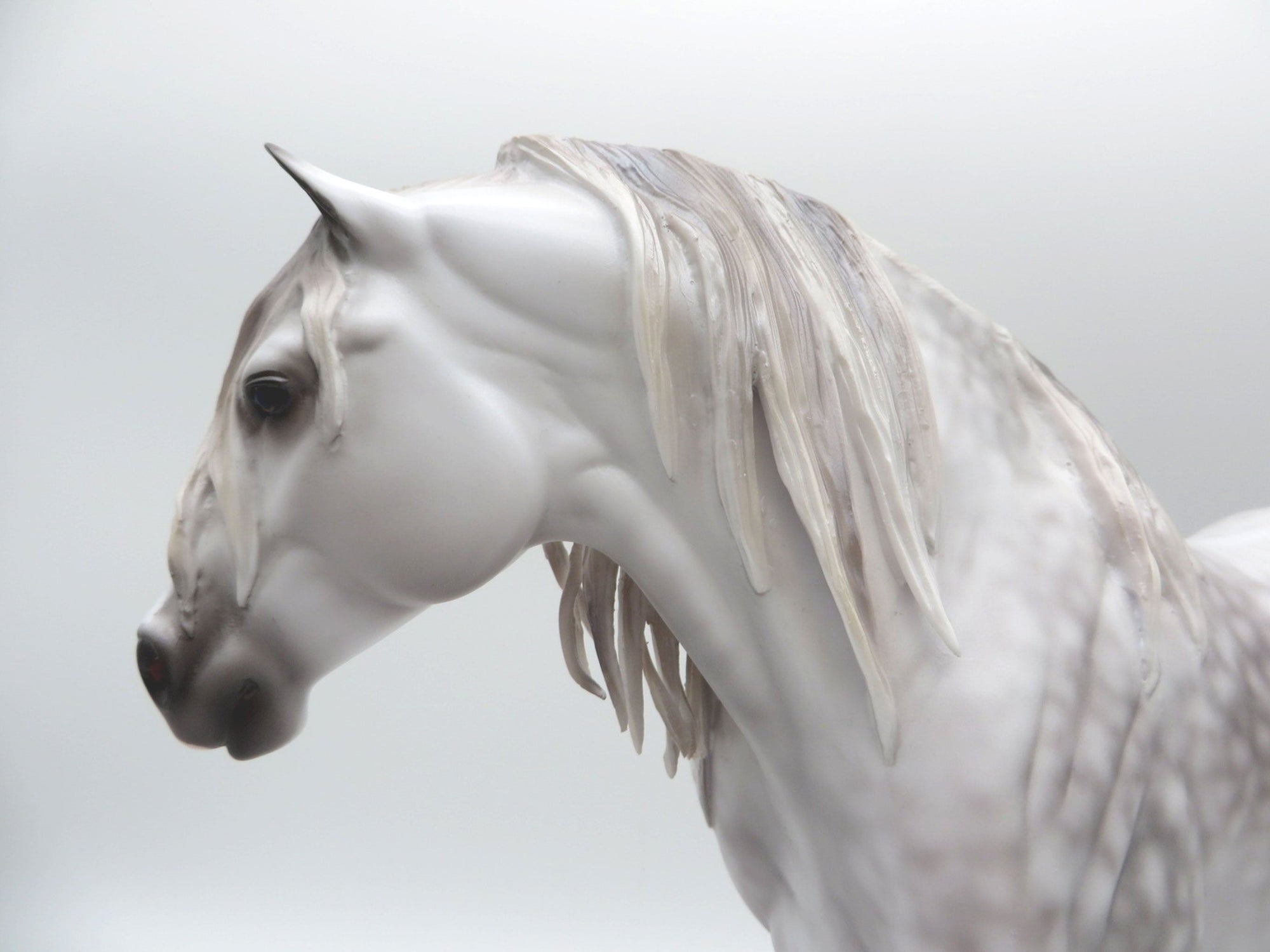 Lena-OOAK Dapple Grey Heavy Drafter 5/11/21