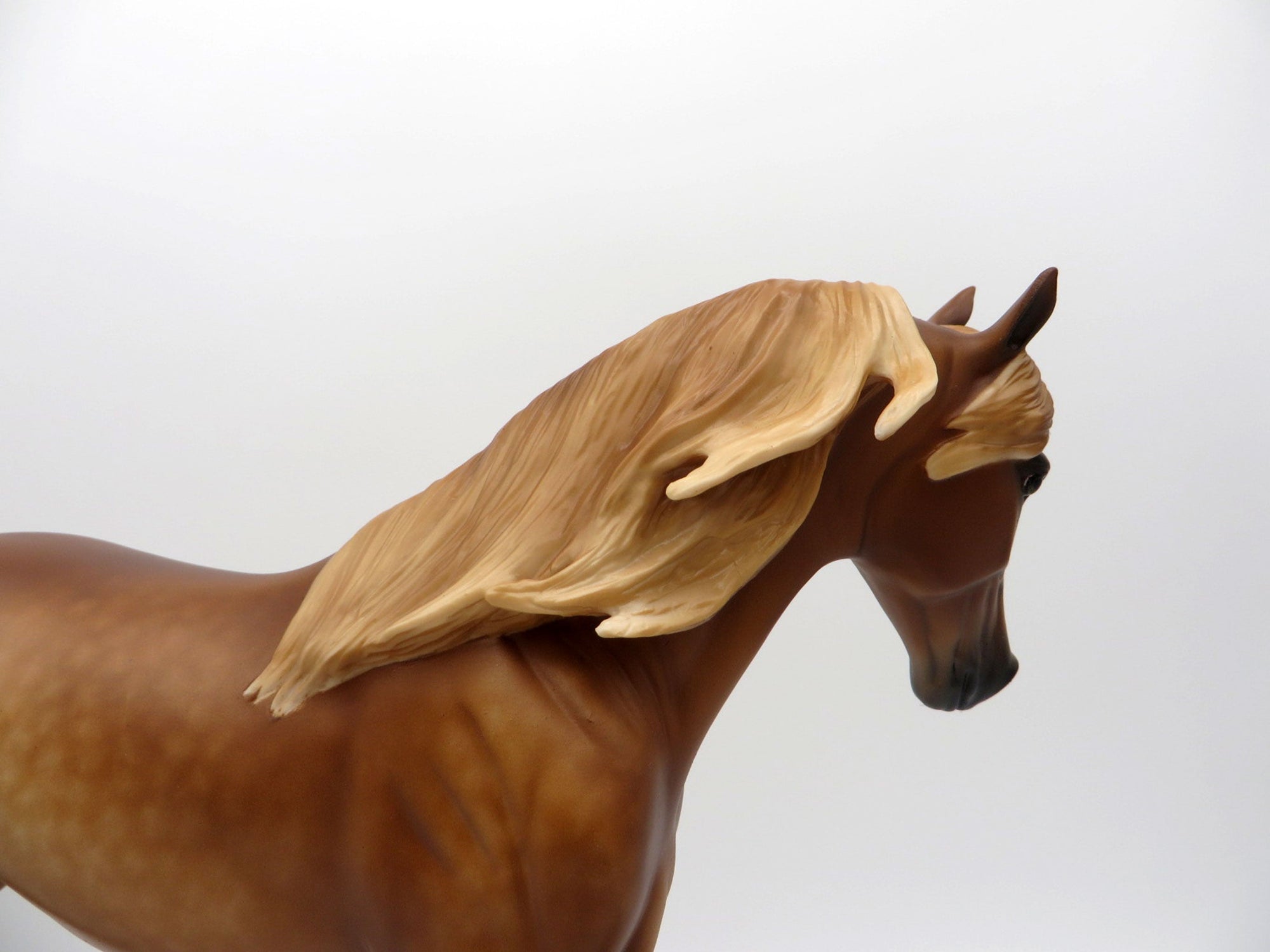 Leofwin-OOAK Dapple Chestnut Tennessee Walker 4/26/21