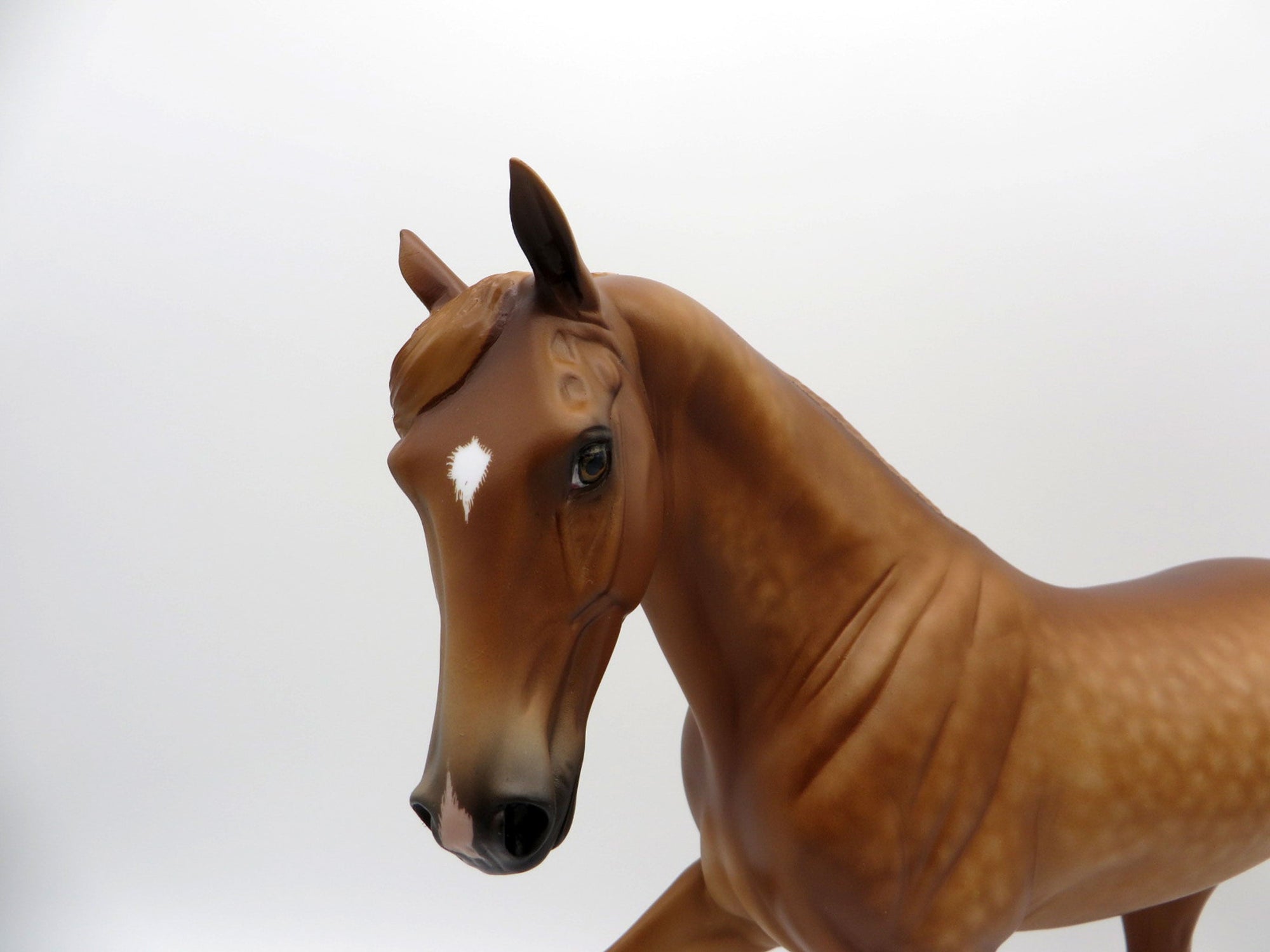 Leofwin-OOAK Dapple Chestnut Tennessee Walker 4/26/21