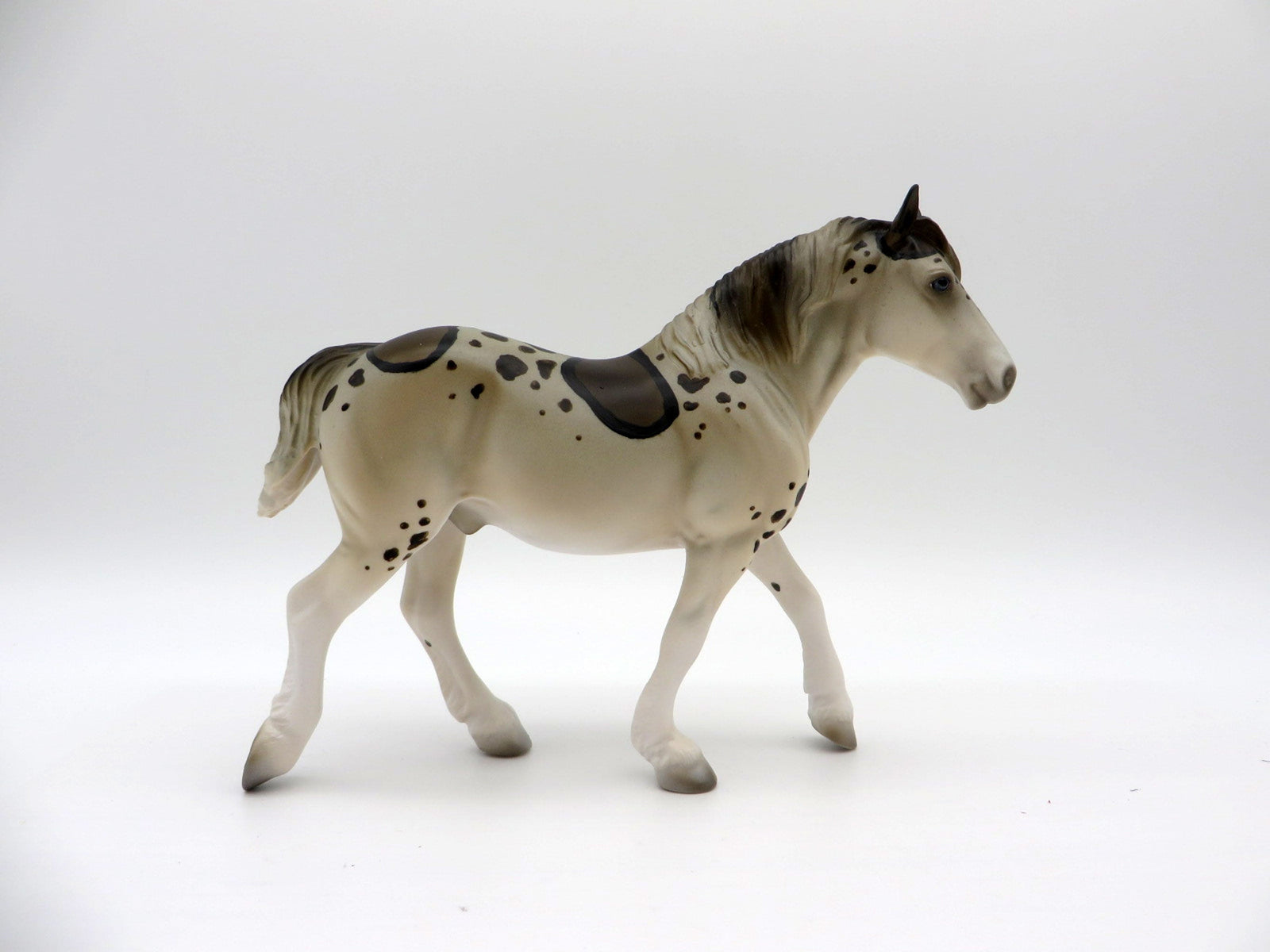 Leo-Leopard Shark-OOAK Trotting Draft Pebbles Painted by Ellen Robbins 7/16/21