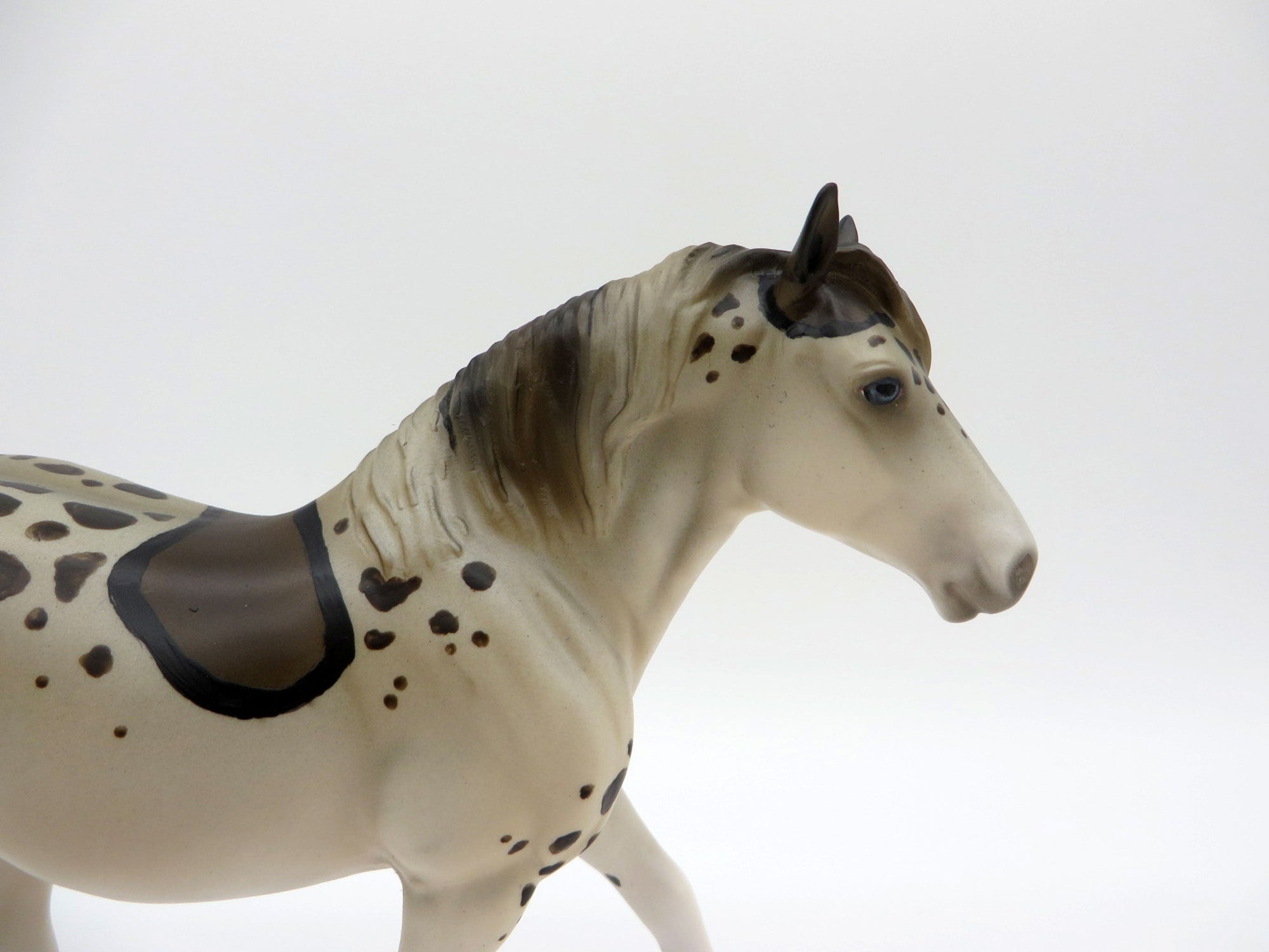 Leo-Leopard Shark-OOAK Trotting Draft Pebbles Painted by Ellen Robbins 7/16/21