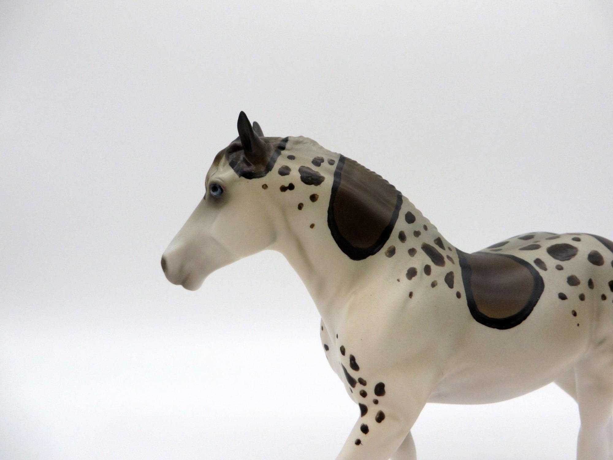 Leo-Leopard Shark-OOAK Trotting Draft Pebbles Painted by Ellen Robbins 7/16/21