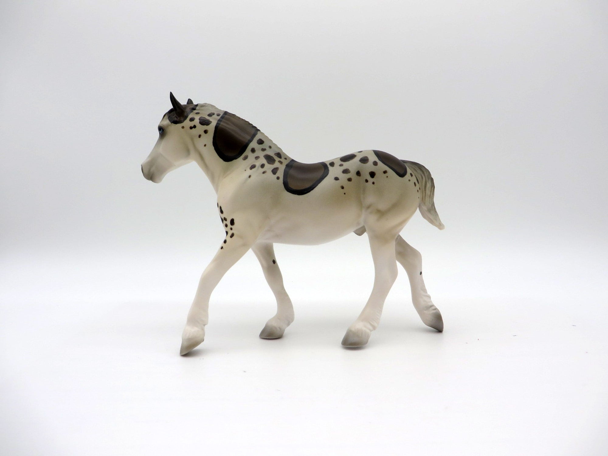 Leo-Leopard Shark-OOAK Trotting Draft Pebbles Painted by Ellen Robbins 7/16/21