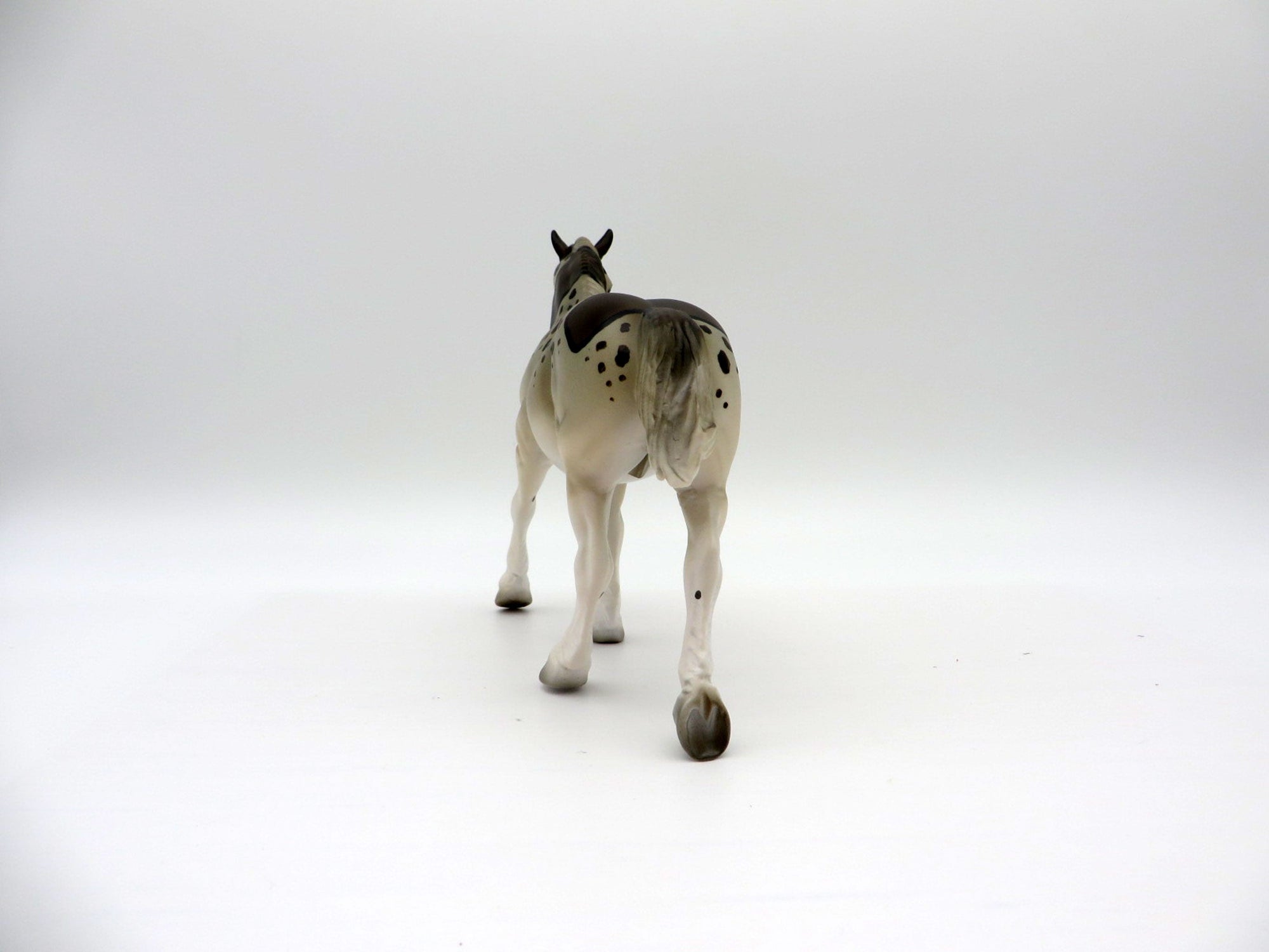 Leo-Leopard Shark-OOAK Trotting Draft Pebbles Painted by Ellen Robbins 7/16/21