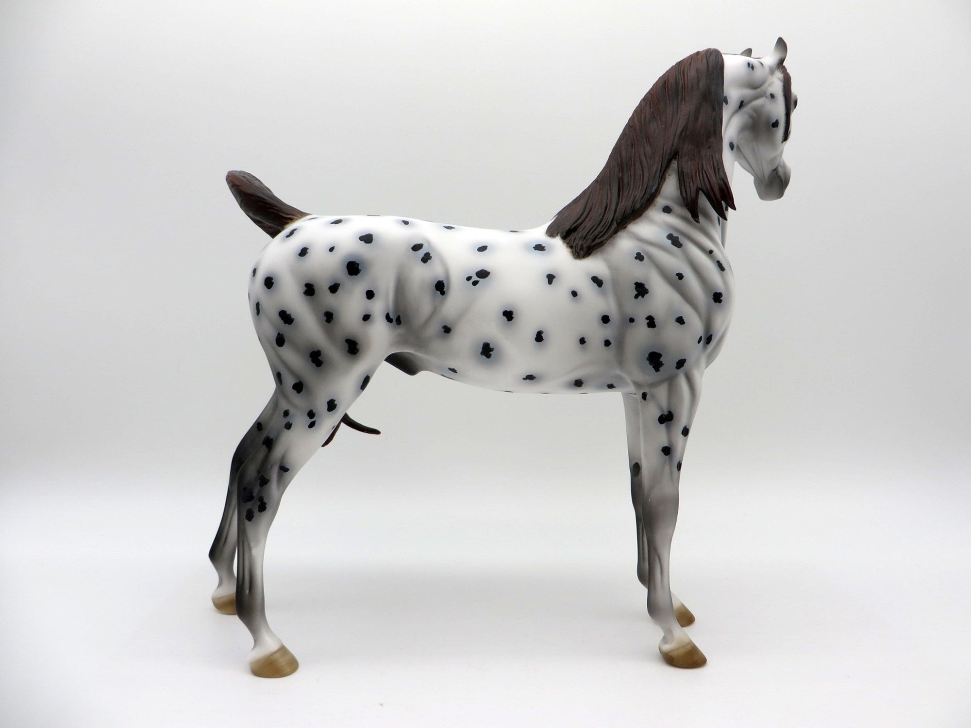 Leopold-OOAK Loud Appaloosa Arabian Equilocity 2021 Painted by Al