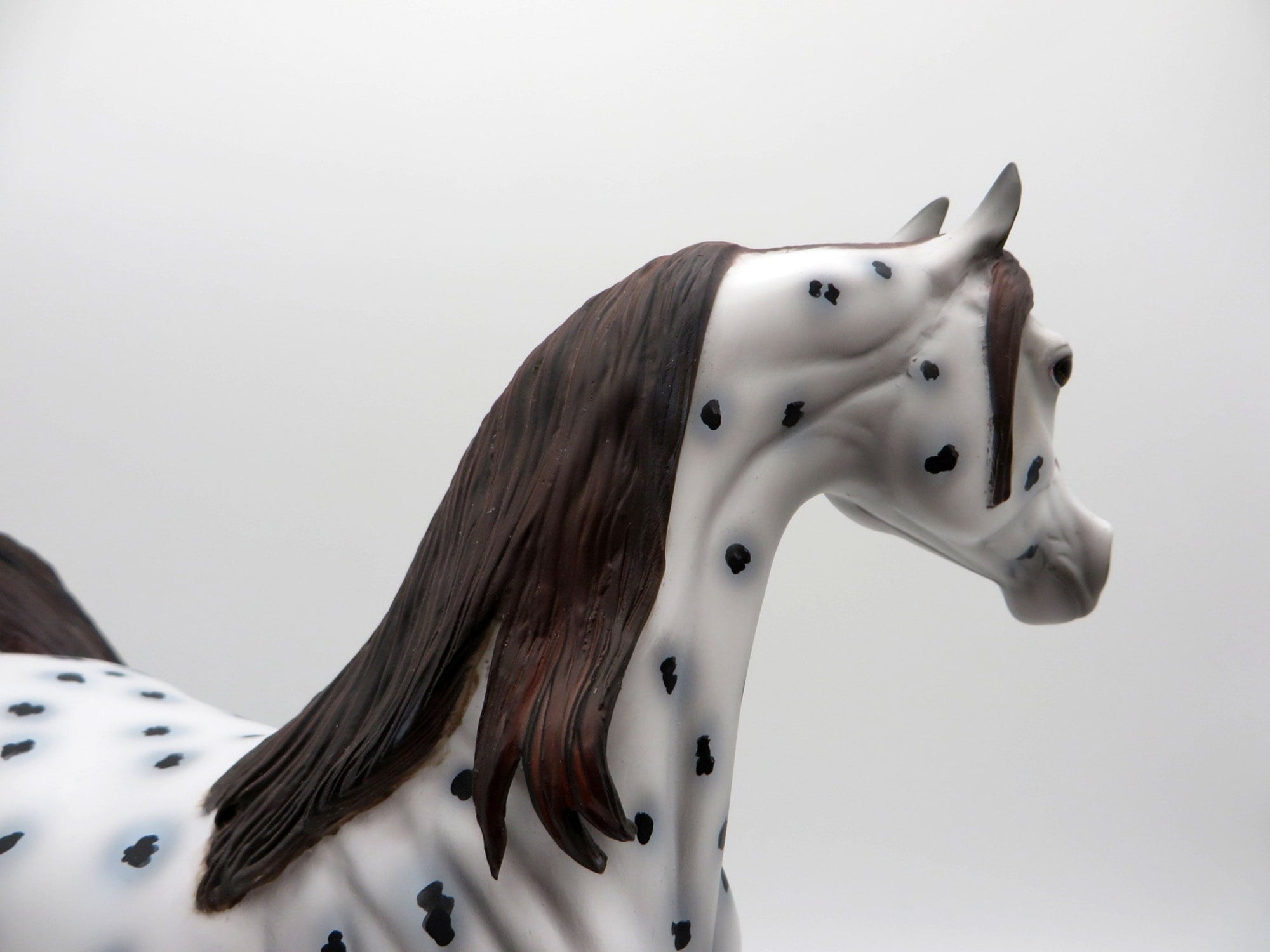 Leopold-OOAK Loud Appaloosa Arabian Equilocity 2021 Painted by Al