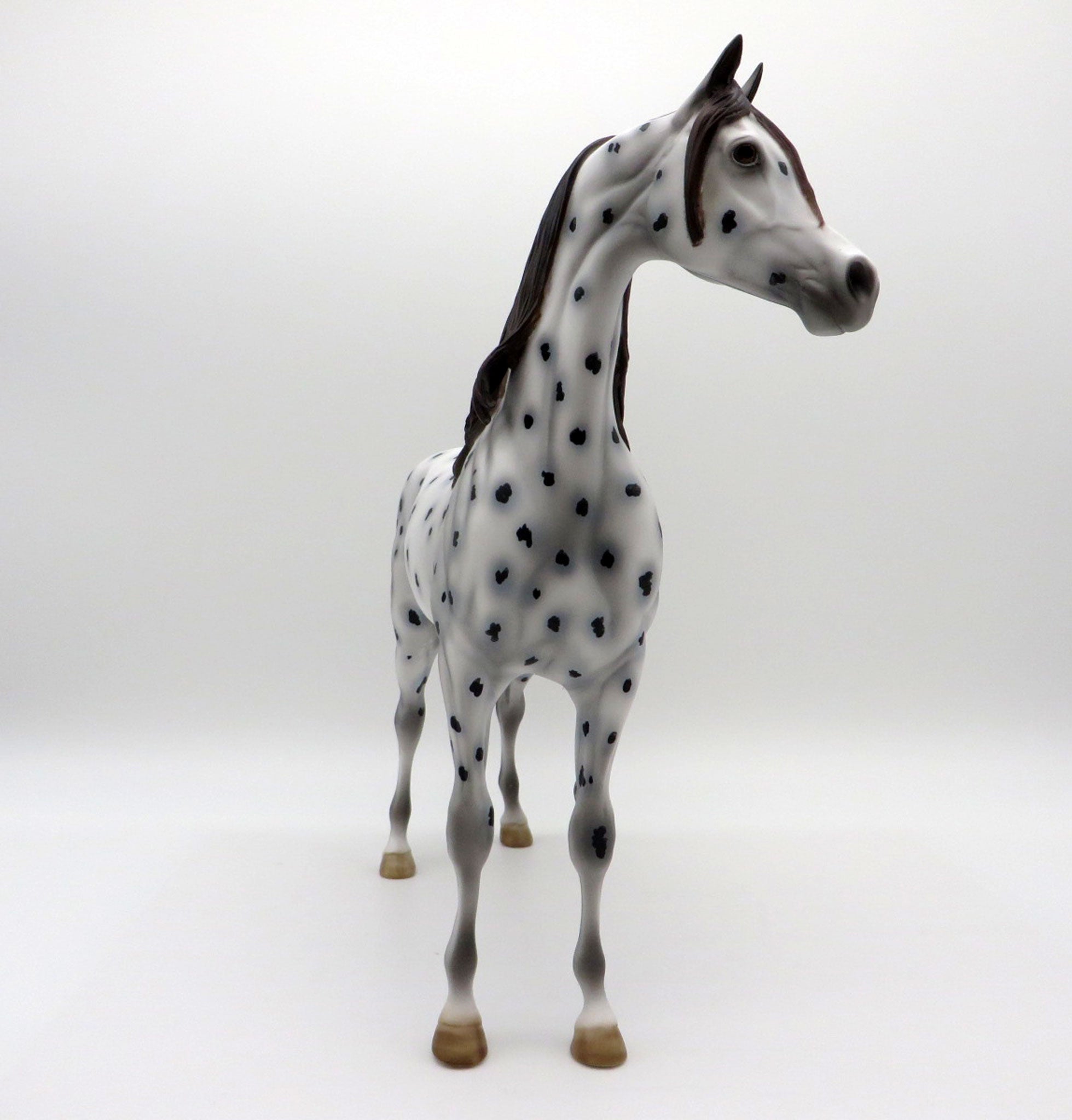 Leopold-OOAK Loud Appaloosa Arabian Equilocity 2021 Painted by Al