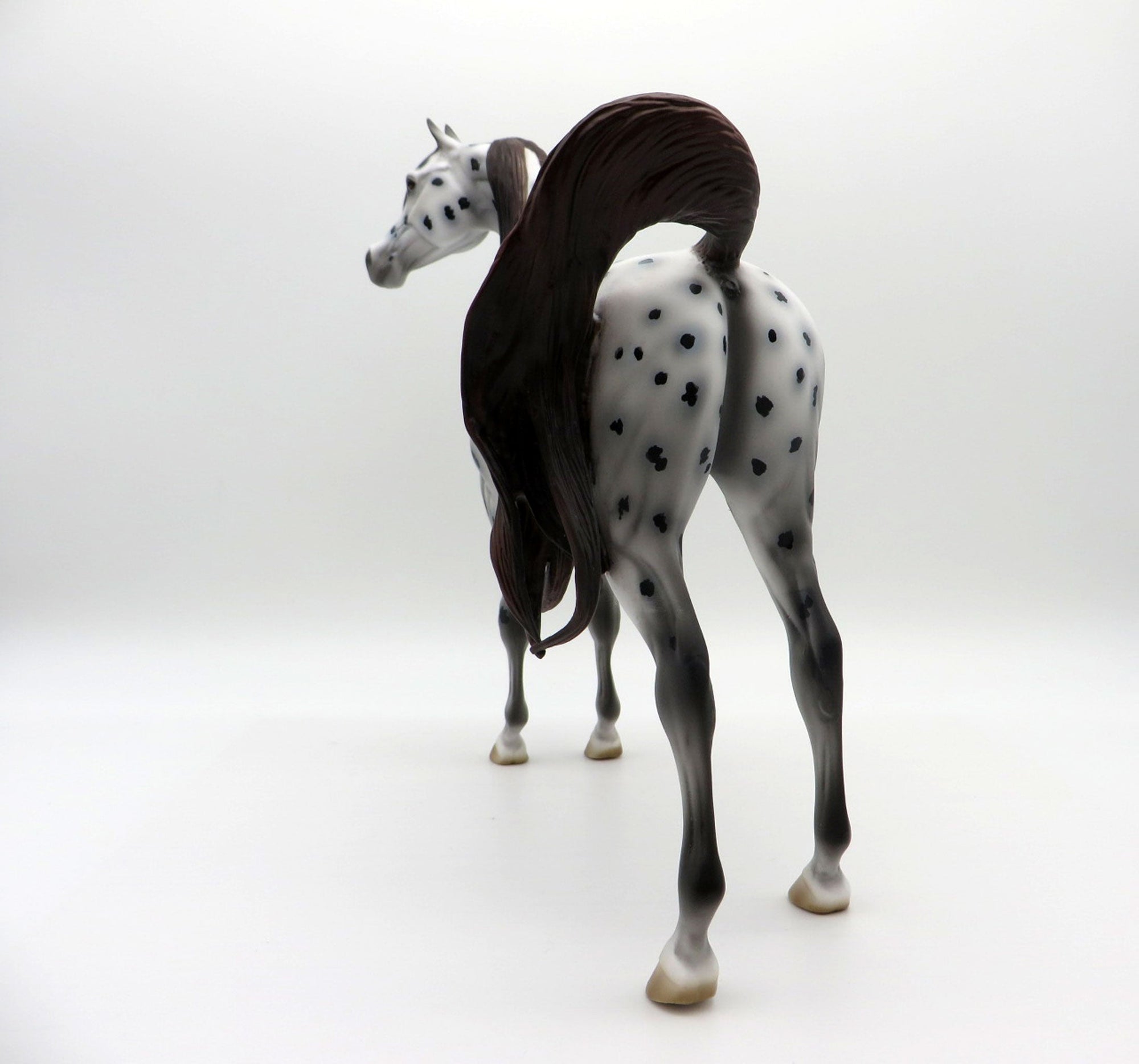 Leopold-OOAK Loud Appaloosa Arabian Equilocity 2021 Painted by Al
