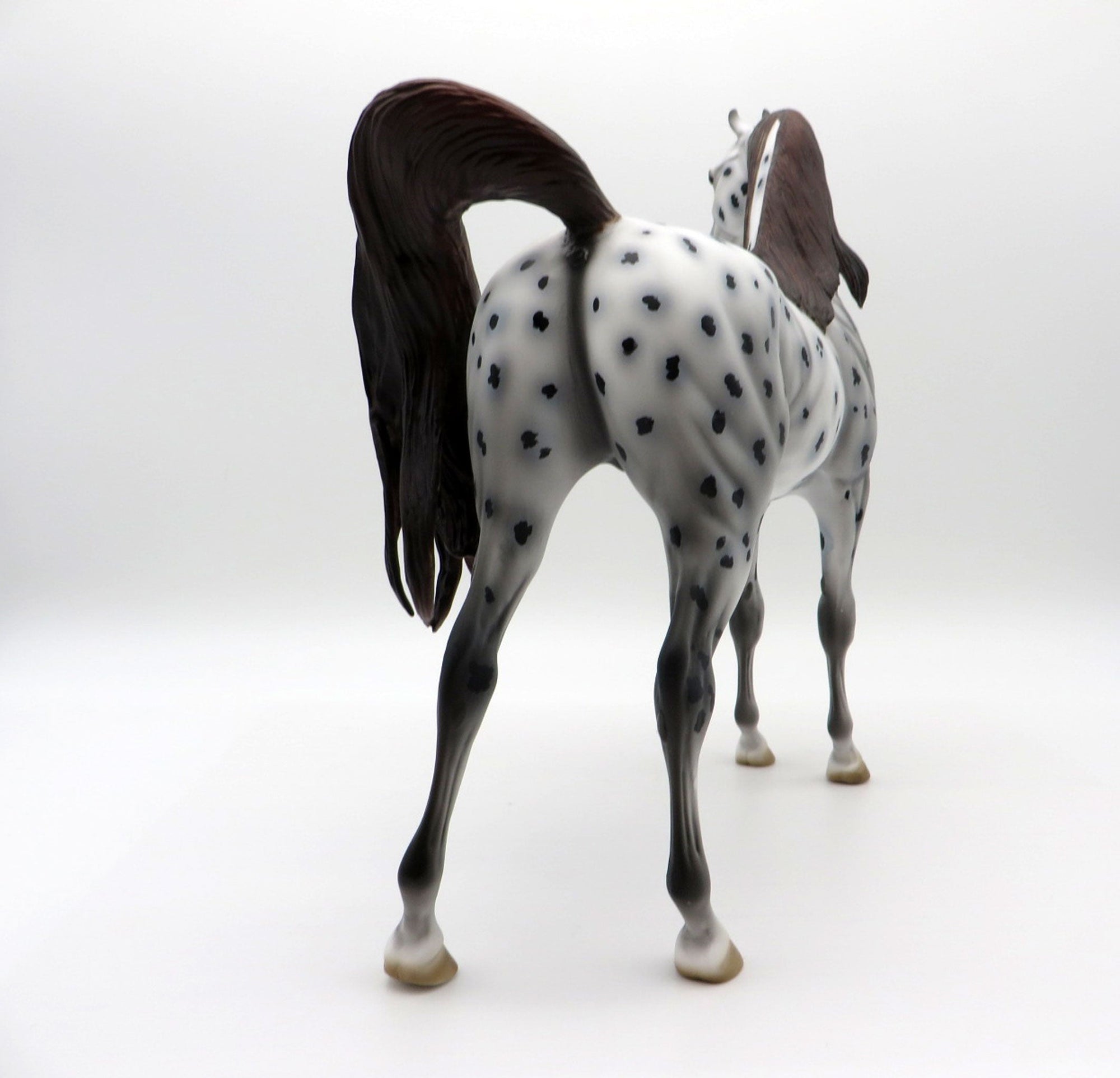 Leopold-OOAK Loud Appaloosa Arabian Equilocity 2021 Painted by Al