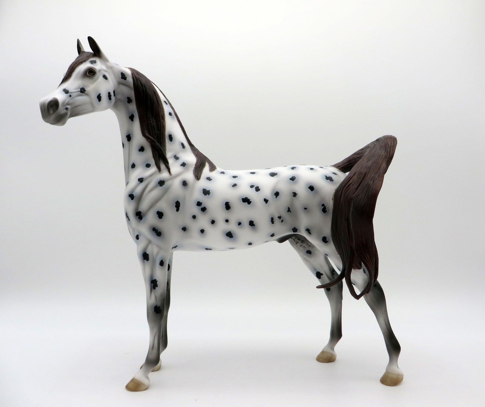 Leopold-OOAK Loud Appaloosa Arabian Equilocity 2021 Painted by Al