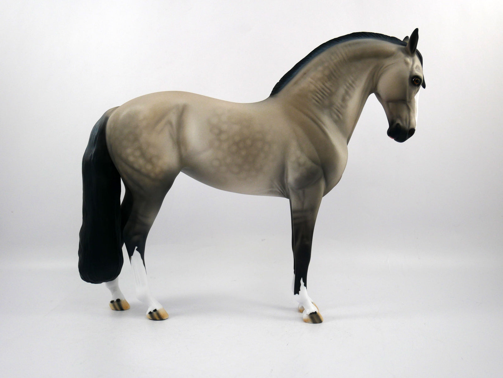 Let's Play-OOAJ Grulla  Andalusian SB 21