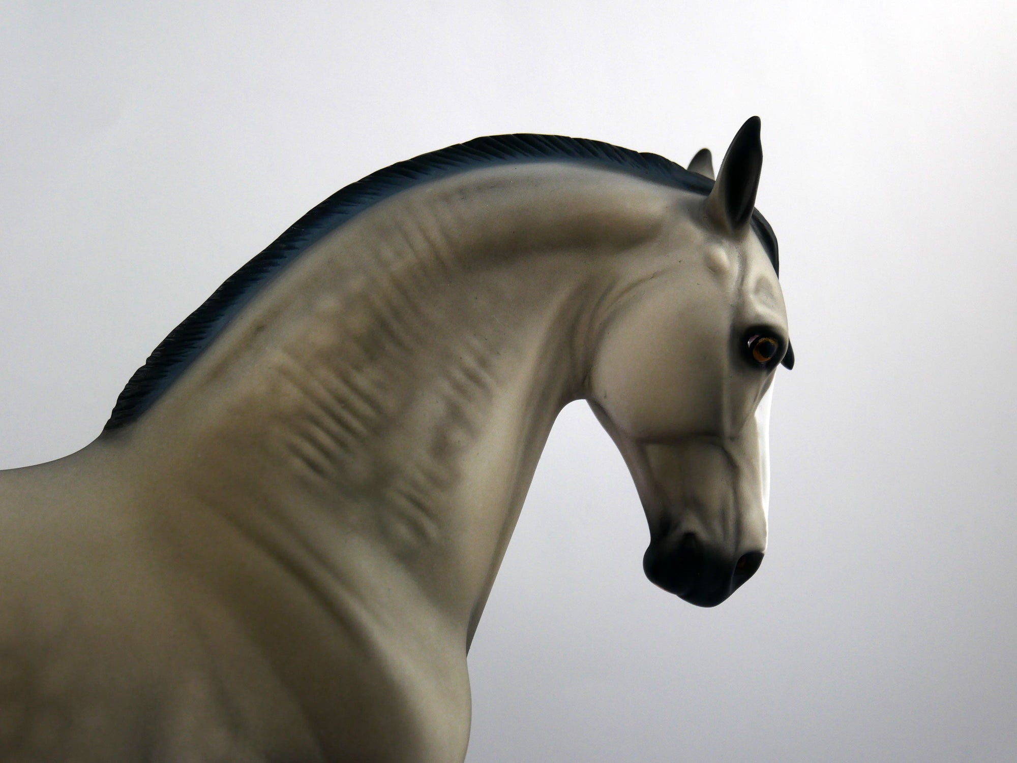 Let&#39;s Play-OOAJ Grulla  Andalusian SB 21