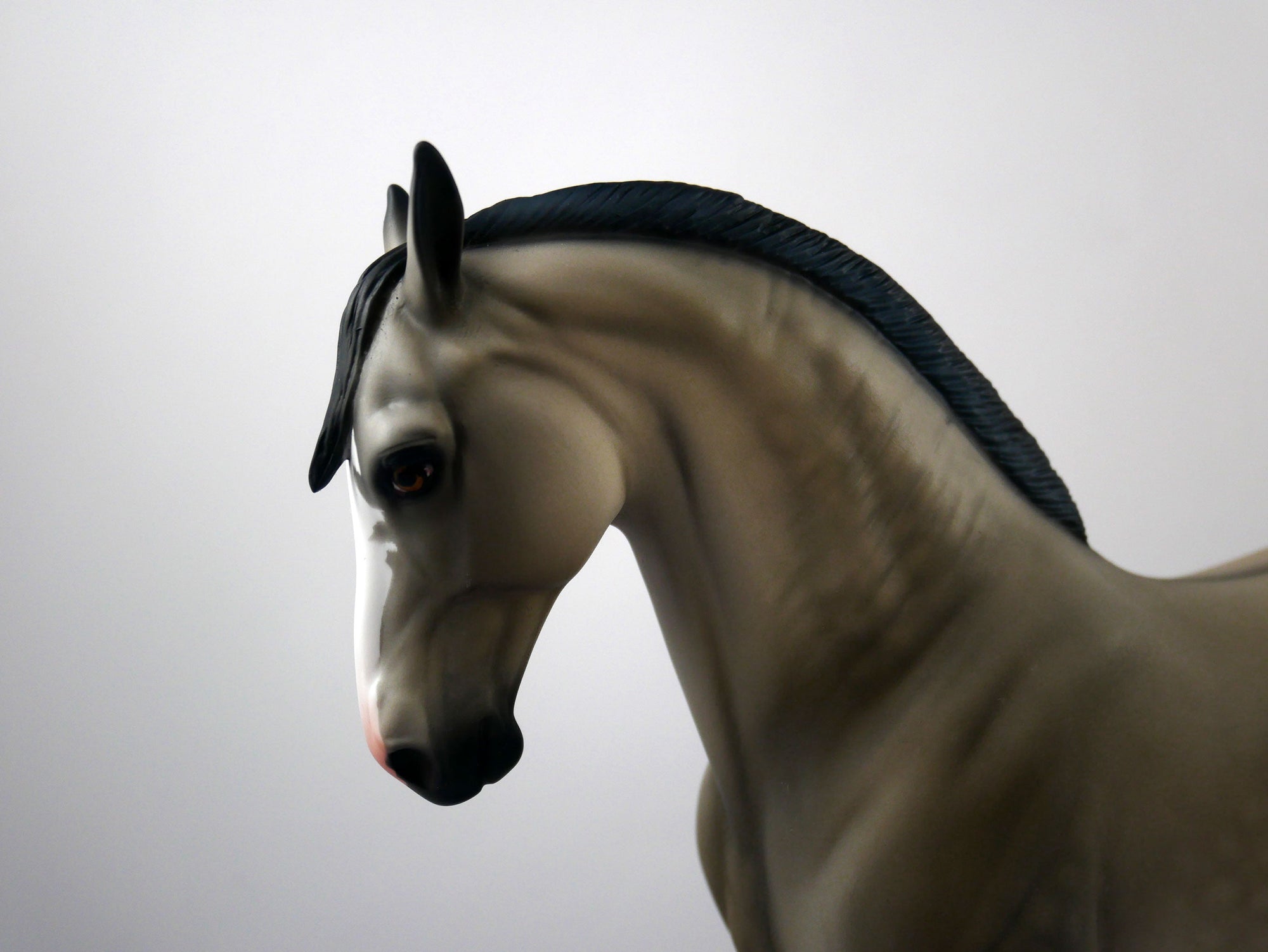 Let&#39;s Play-OOAJ Grulla  Andalusian SB 21