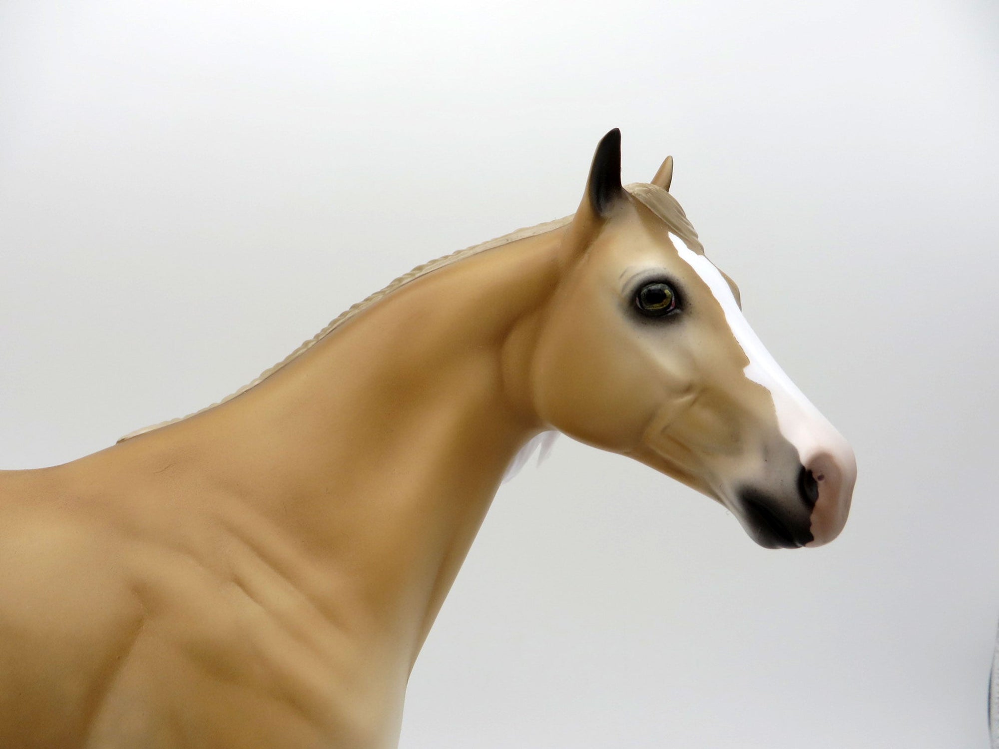 Letting Go-Le-20 Light Sorrel ISH CM  Painted By Audrey Dixon EQ 21