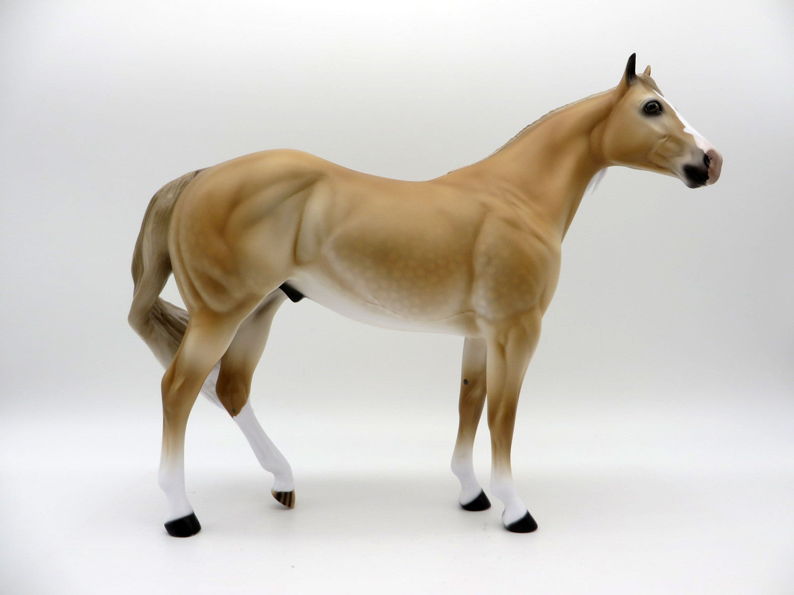 Letting Go-Le-20 Light Sorrel ISH CM  Painted By Audrey Dixon EQ 21