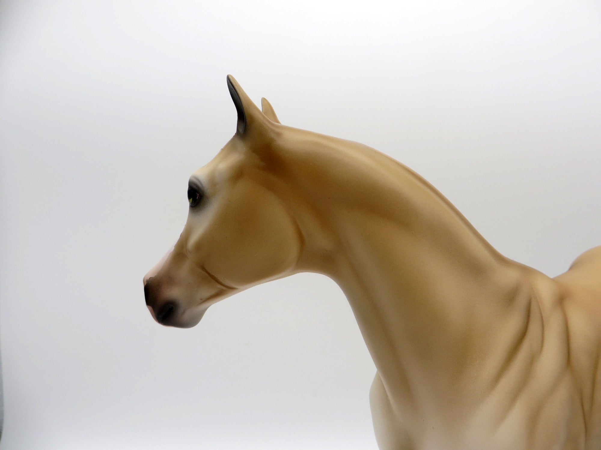 Letting Go-Le-10 Light Sorrel ISH  Painted By Audrey Dixon EQ 21