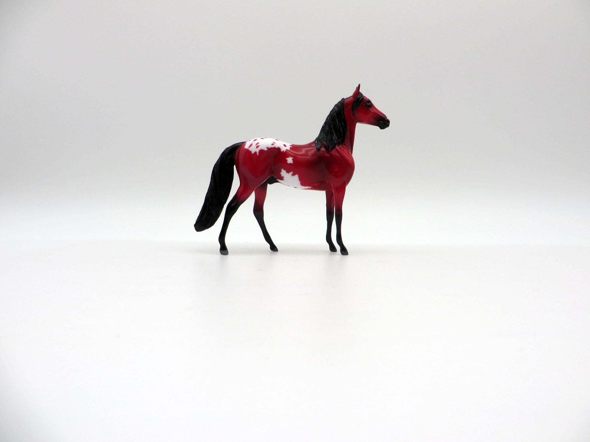 Liab- Chip Precious Morgan Chip Stone Painted By Ellen Robbins EQ 2021