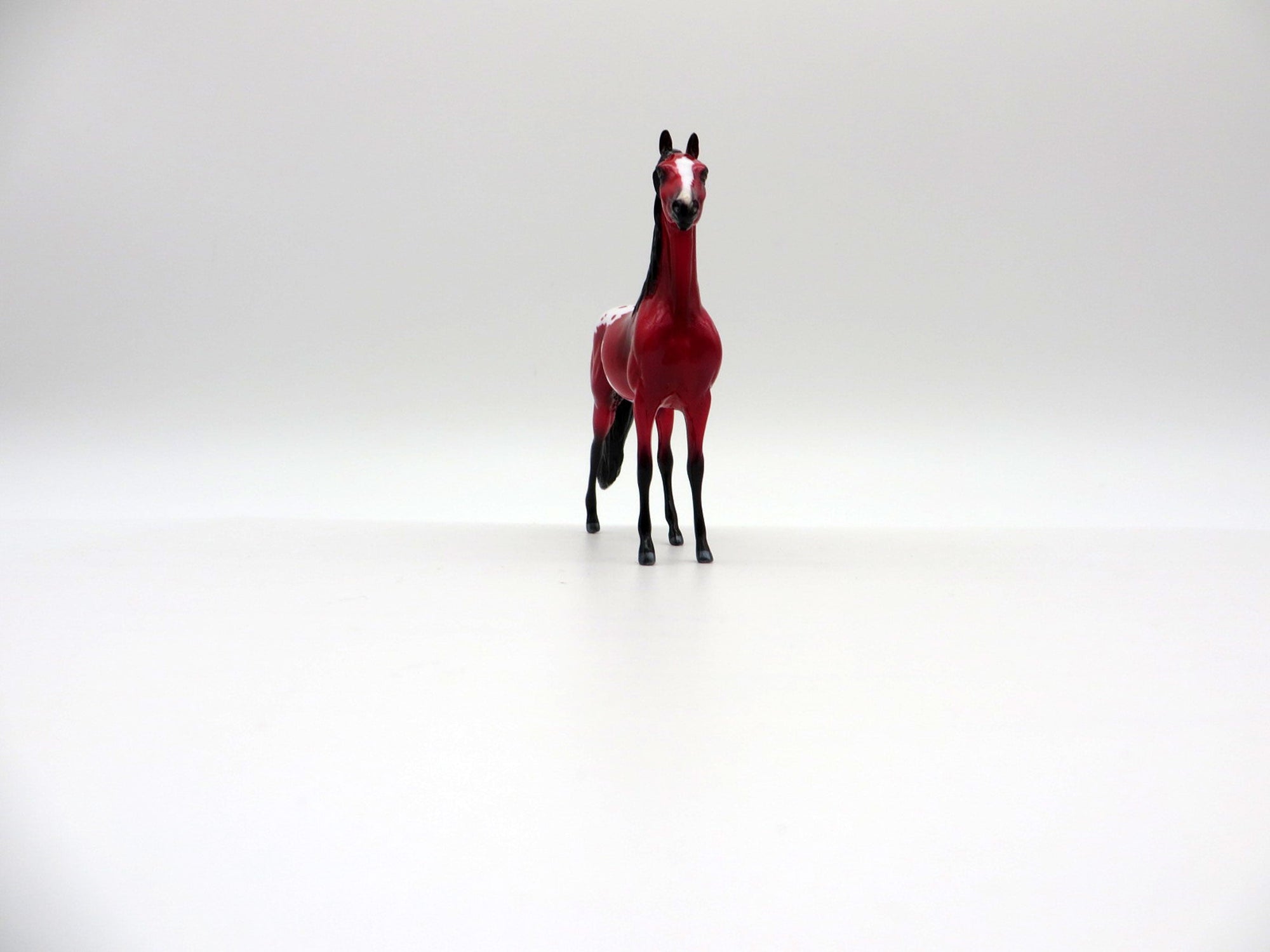 Liab- Chip Precious Morgan Chip Stone Painted By Ellen Robbins EQ 2021