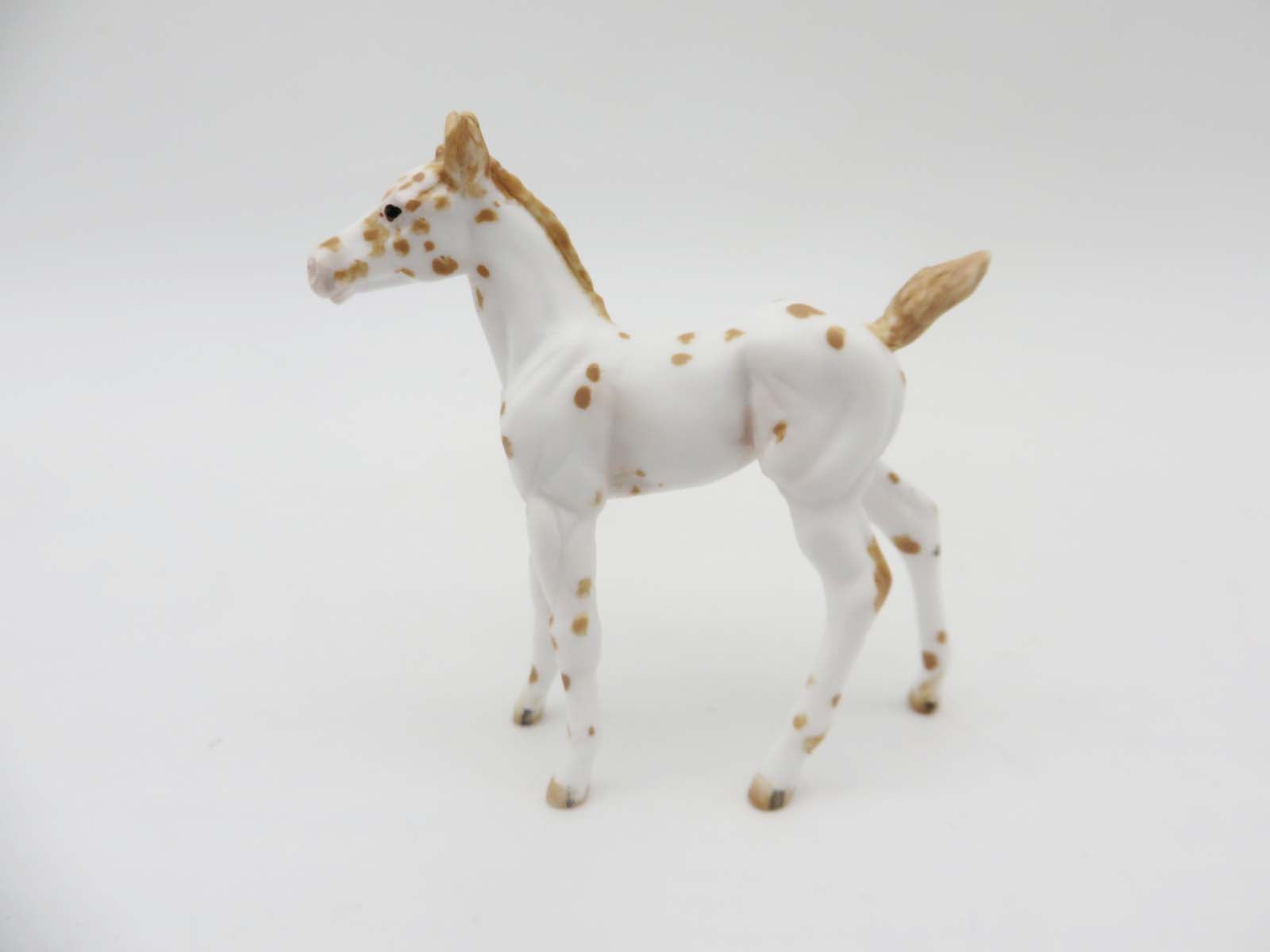 Libby - OOAK - Appy Chip Foal By Andrea Thomason - SHCF23