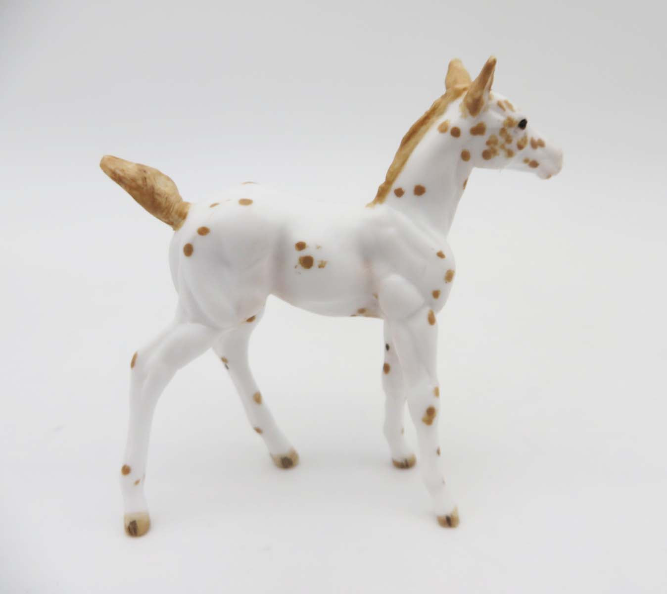 Libby - OOAK - Appy Chip Foal By Andrea Thomason - SHCF23