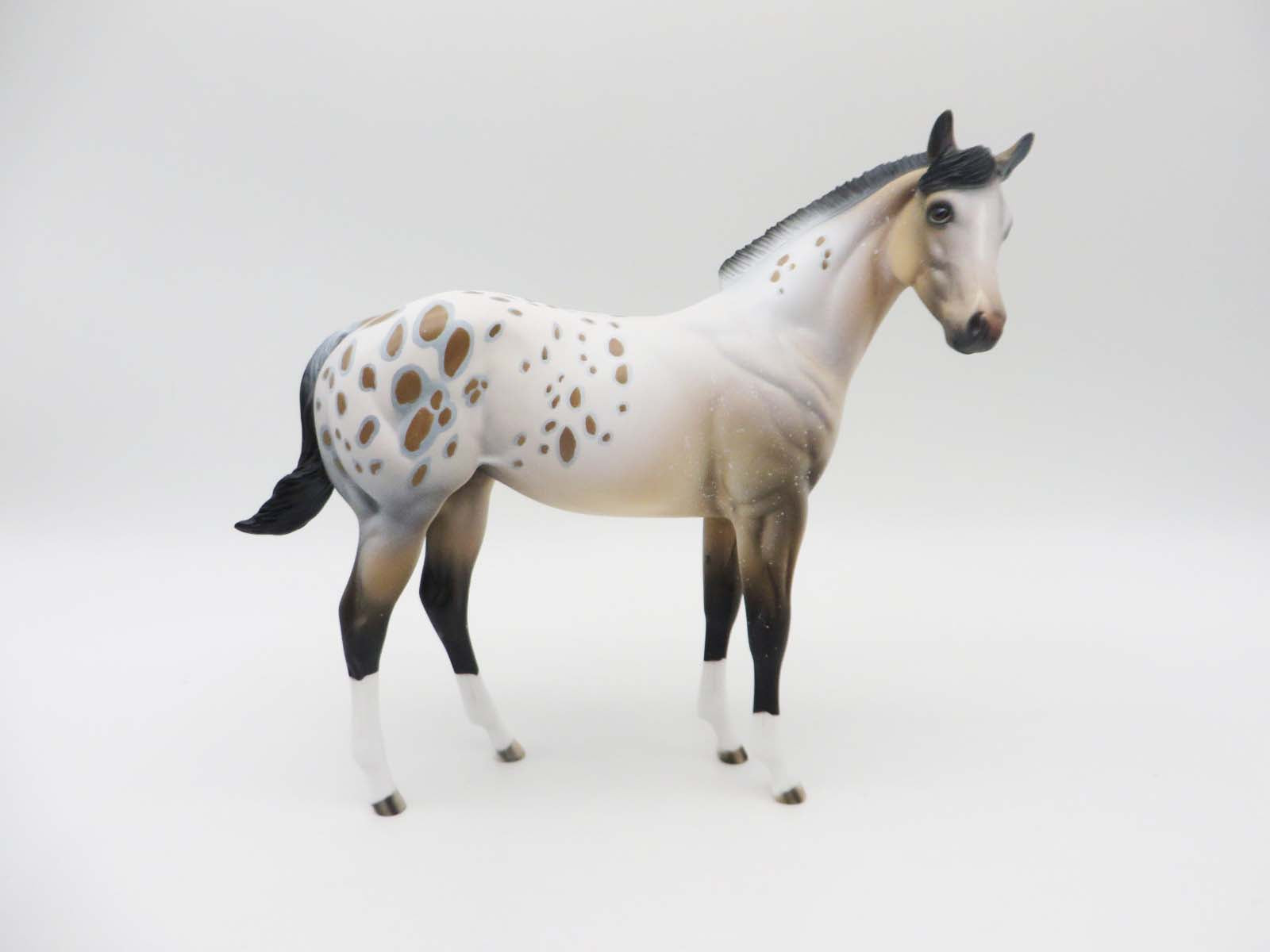 Lightfoot-OOAK Weanling Appaloosa By Dawn Quick SHCF23