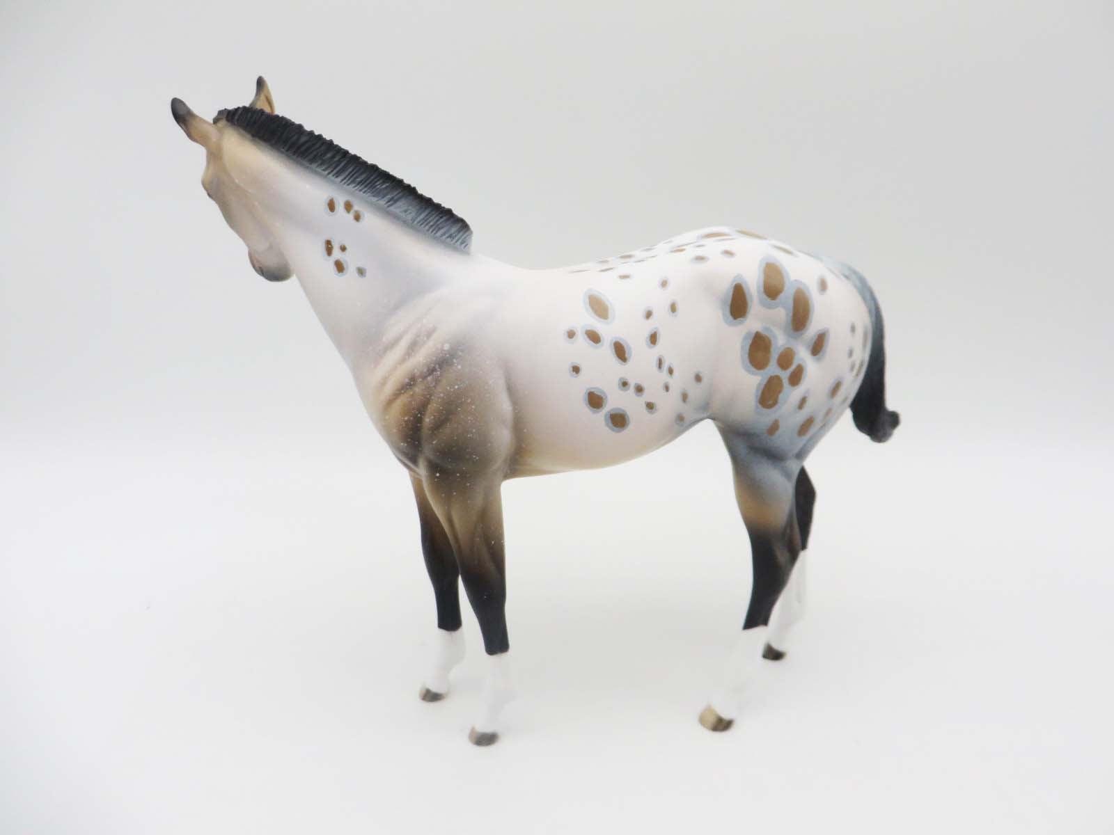 Lightfoot-OOAK Weanling Appaloosa By Dawn Quick SHCF23