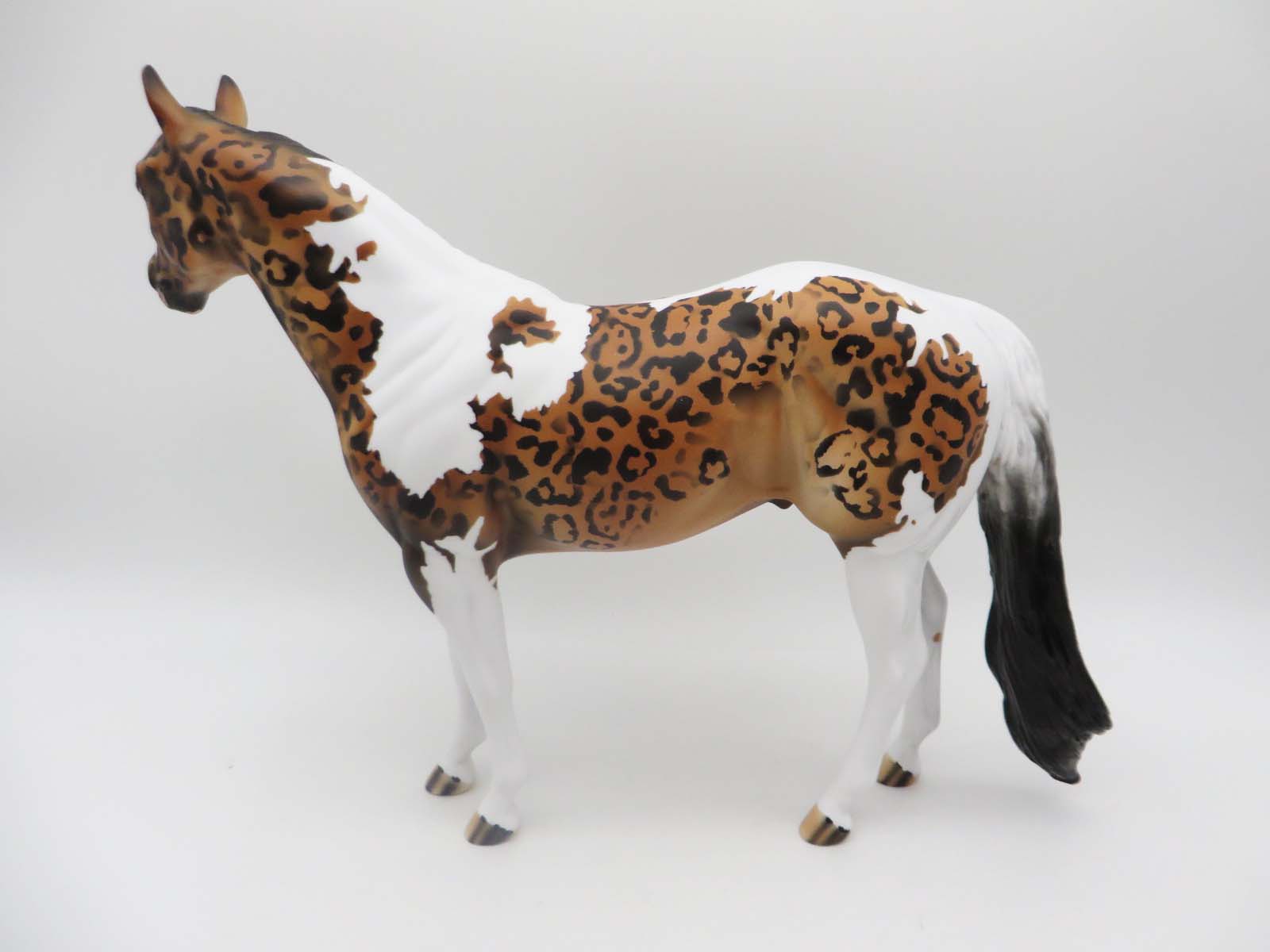 Lil Wayne-OOAK Cheetah Inspired ISH By Dawn Quick P&amp;C 23