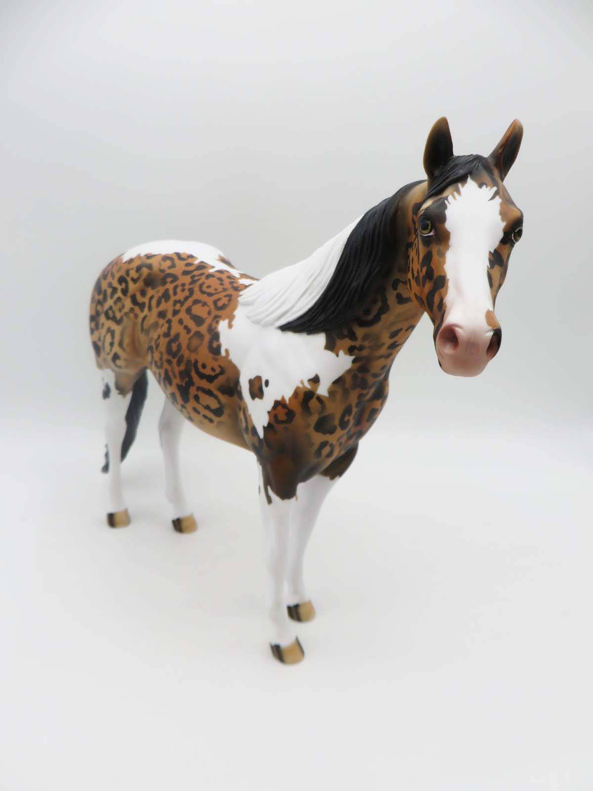 Lil Wayne-OOAK Cheetah Inspired ISH By Dawn Quick P&amp;C 23