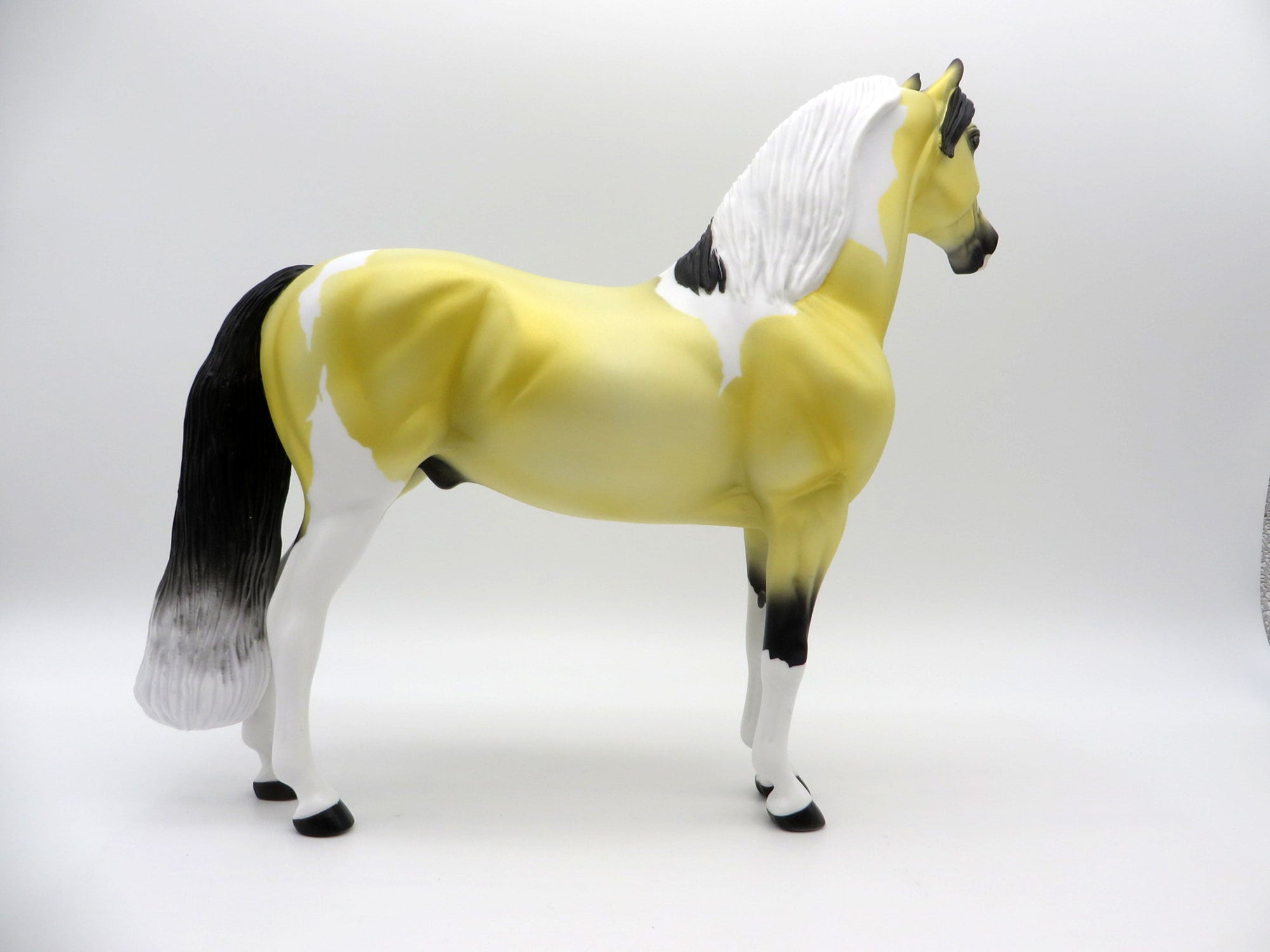 Lilium-OOAK Deco Morgan SHCF 2021