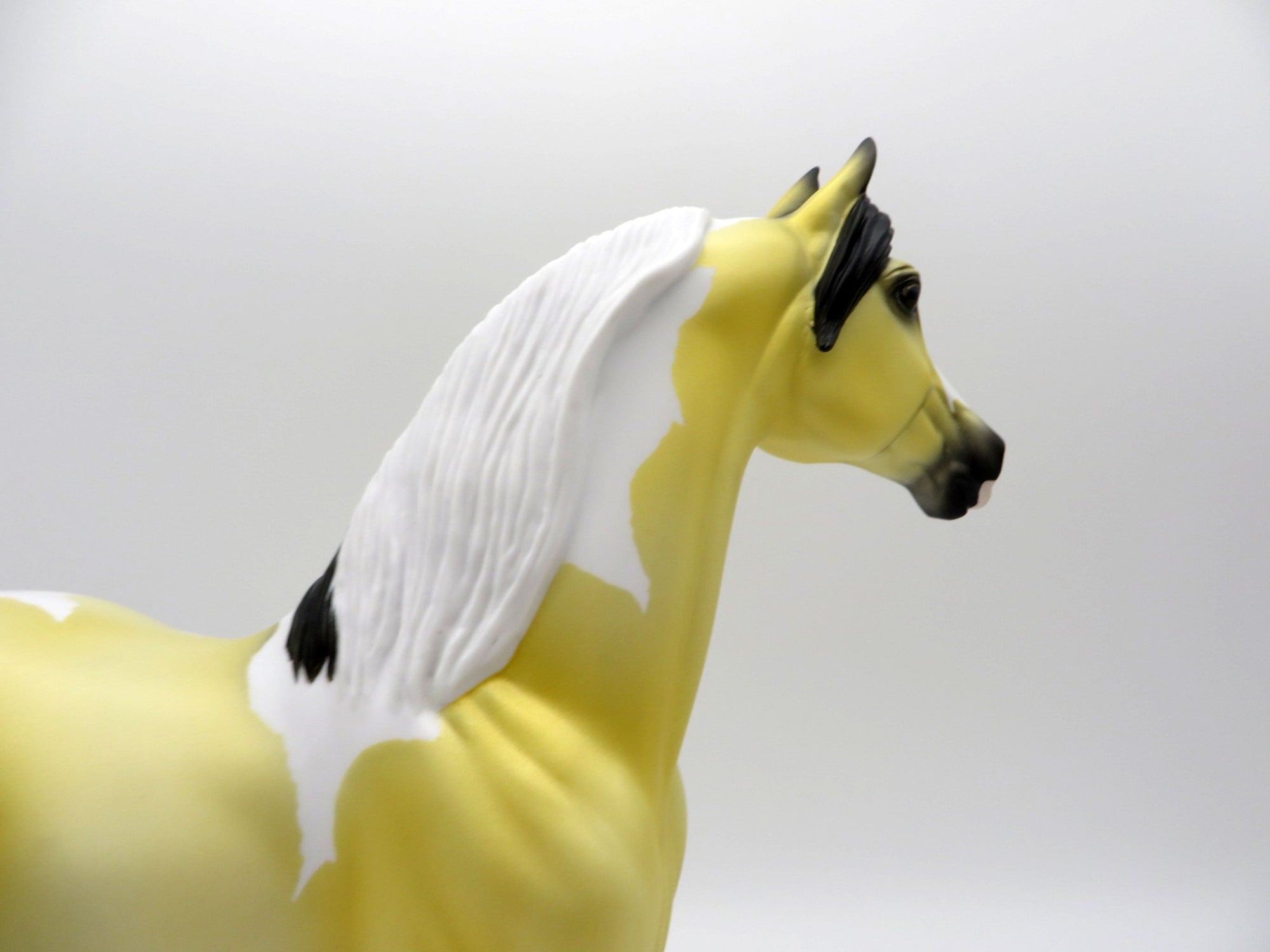 Lilium-OOAK Deco Morgan SHCF 2021