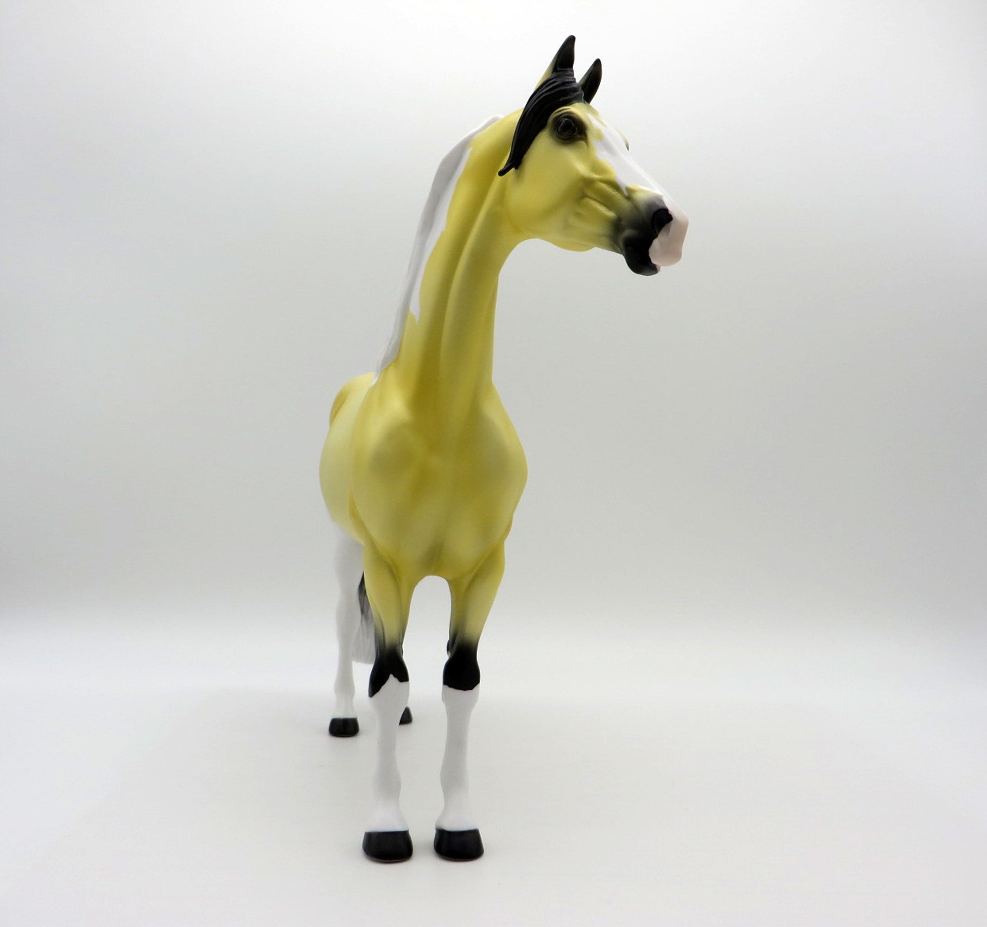 Lilium-OOAK Deco Morgan SHCF 2021