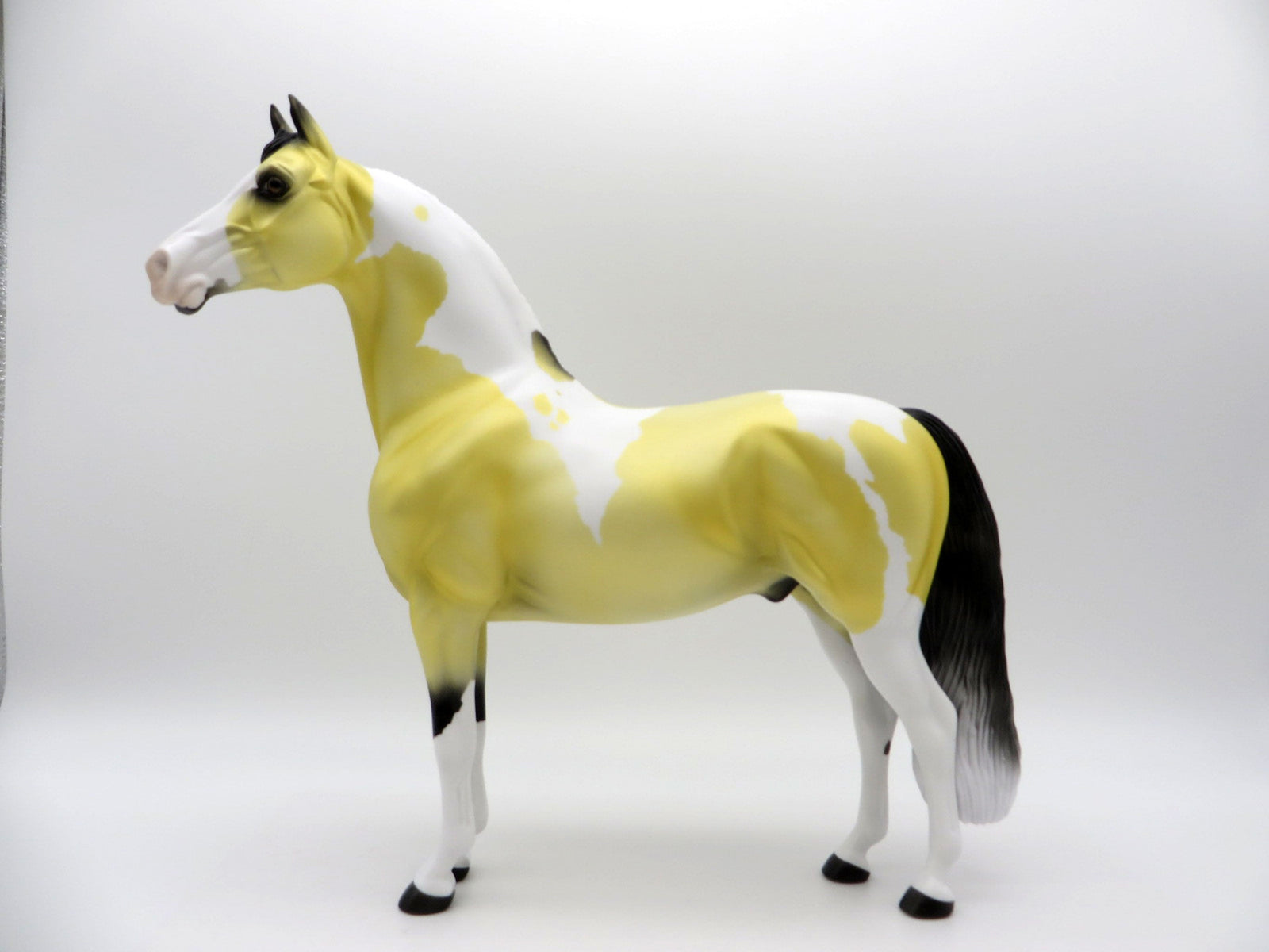 Lilium-OOAK Deco Morgan SHCF 2021