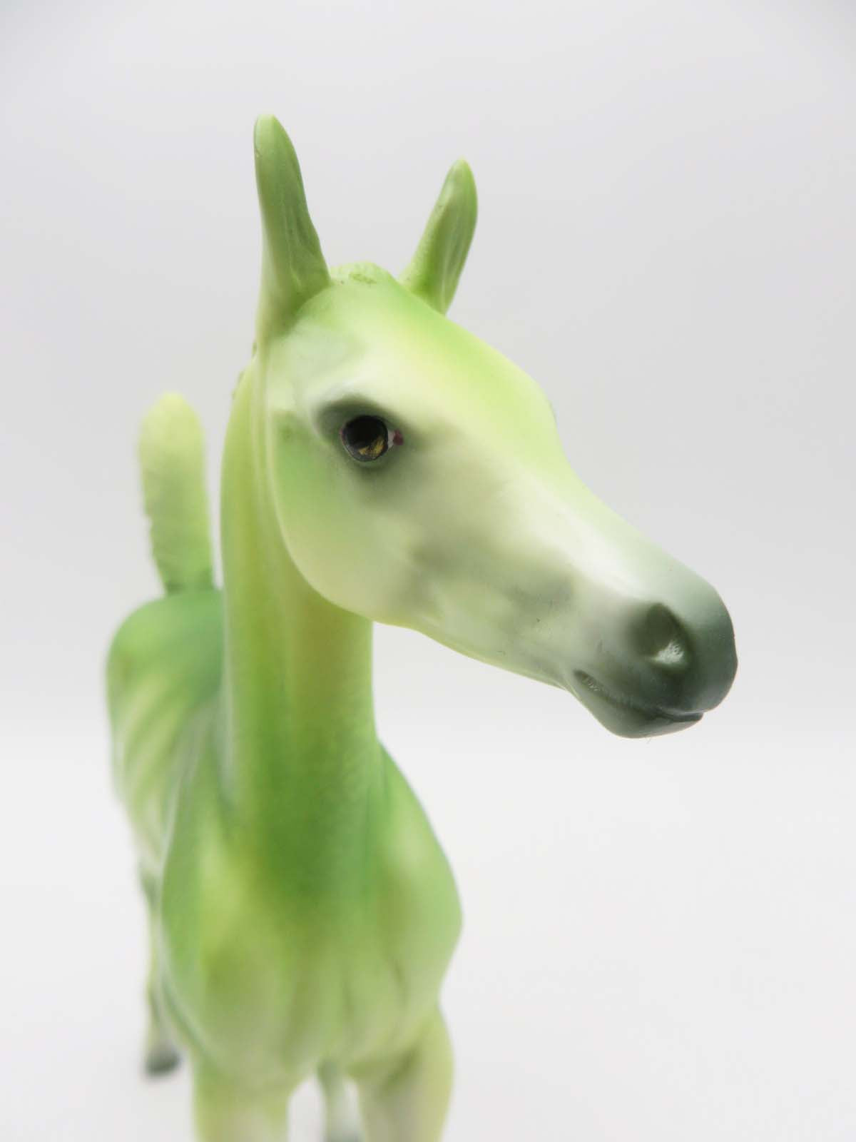 KIDS AUCTION EQ23- Throwback Thursday- Lime In Your Coconut Deco Fruit Foal LE-30 By Jess Hamill 4/13/23