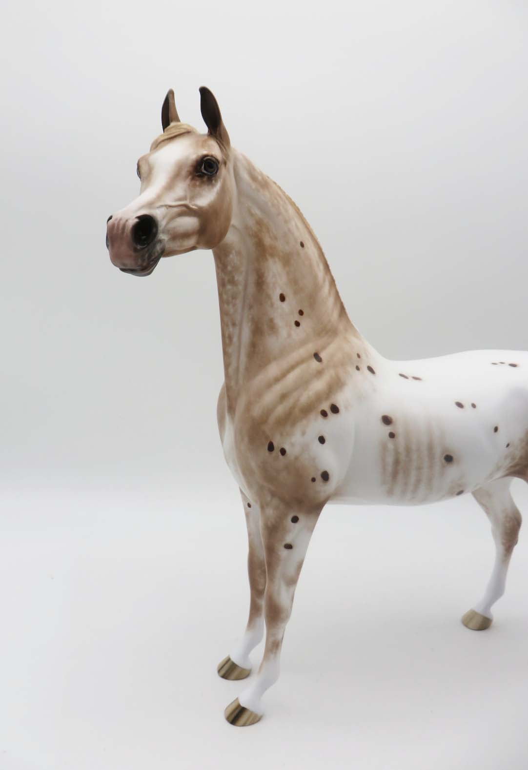 Limelight - OOAK - Chestnut Appy Arabian by Sheryl Leisure - Best Offers 2/20/23