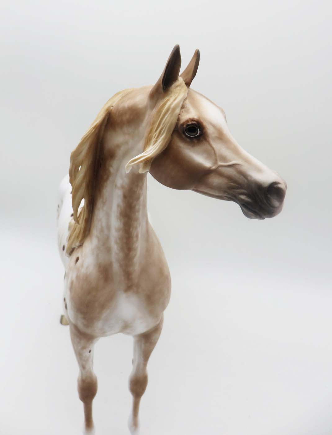 Limelight - OOAK - Chestnut Appy Arabian by Sheryl Leisure - Best Offers 2/20/23