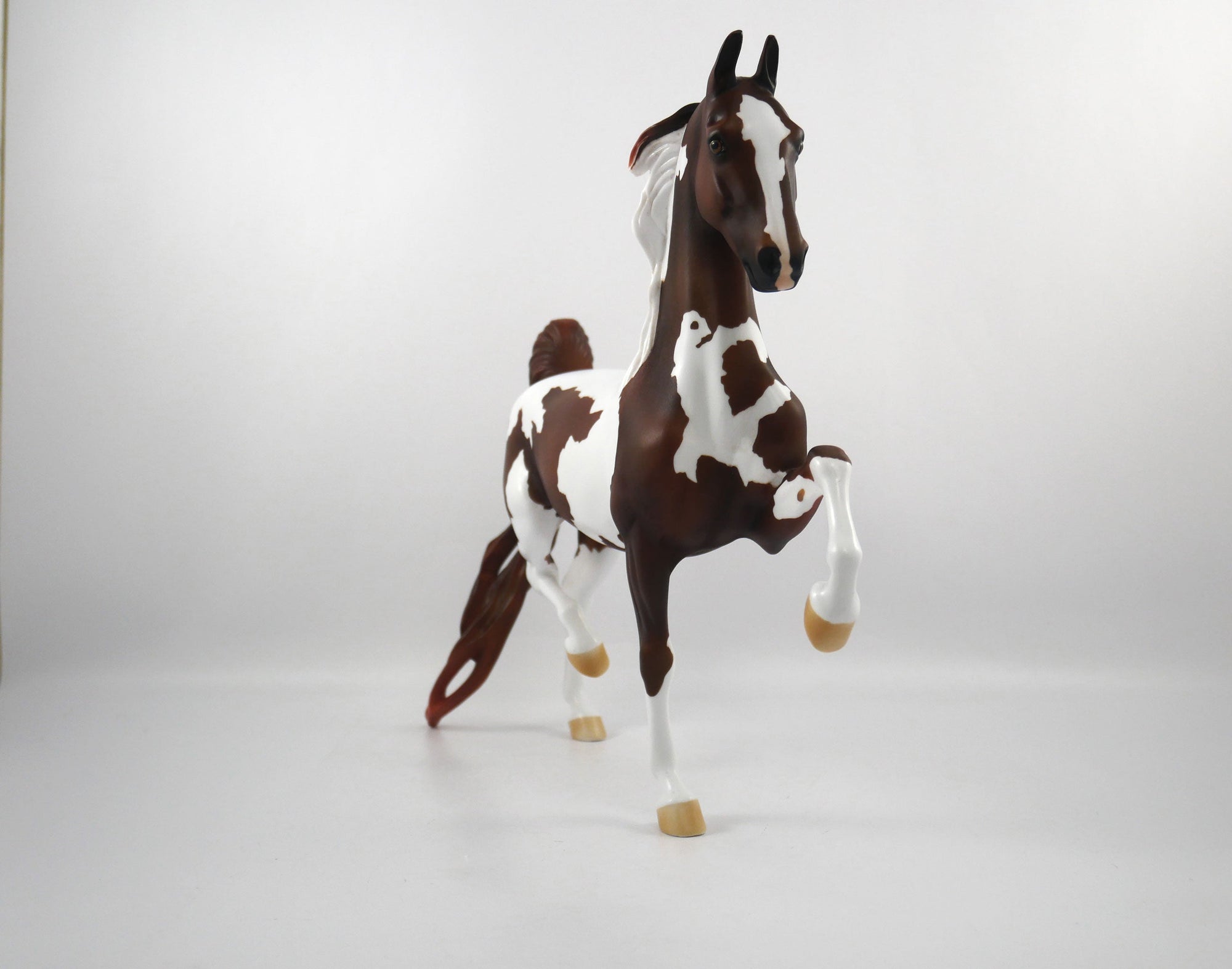 Line of Scrimmage-OOAK Liver Chestnut Paint Saddlebred  SB21