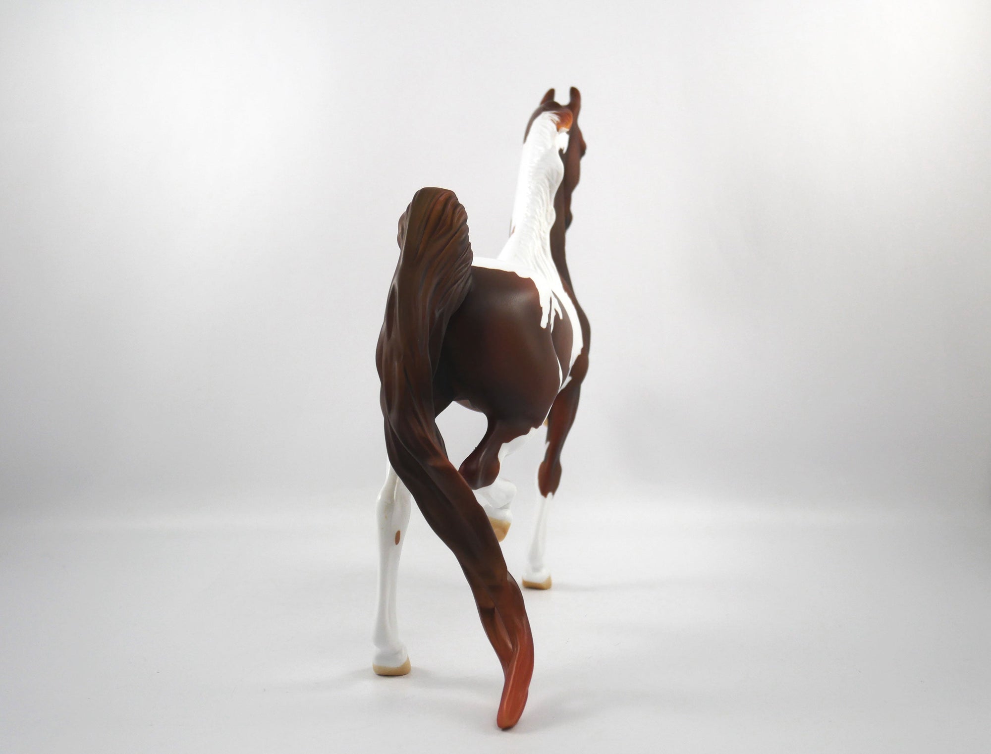 Line of Scrimmage-OOAK Liver Chestnut Paint Saddlebred  SB21